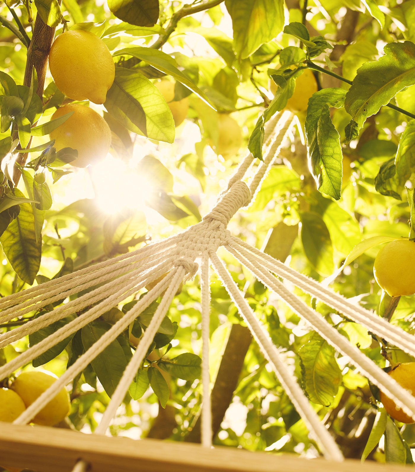 Replica Under The Lemon Trees Eau de Toilette