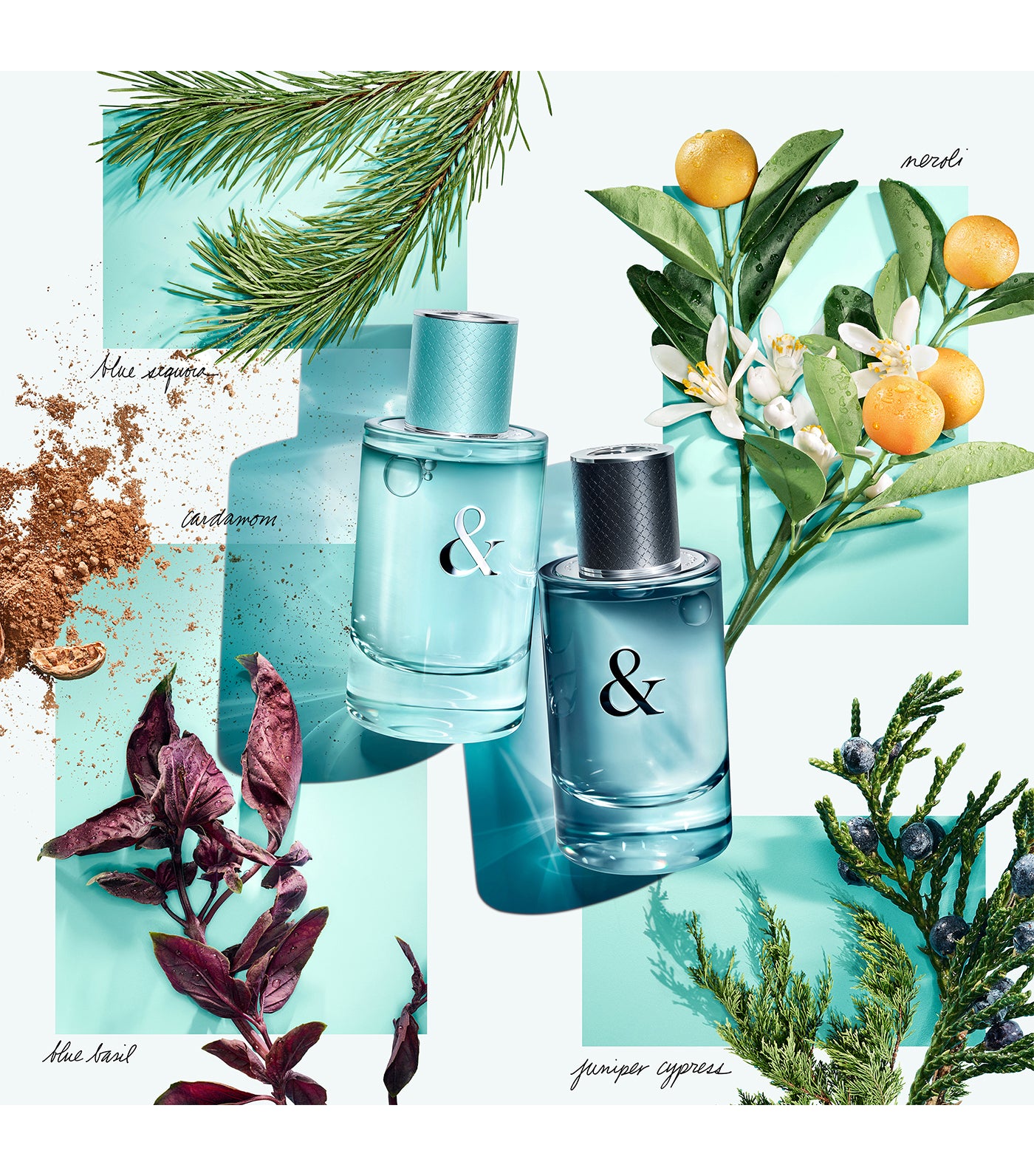 Tiffany & Love Eau de Parfum for Her