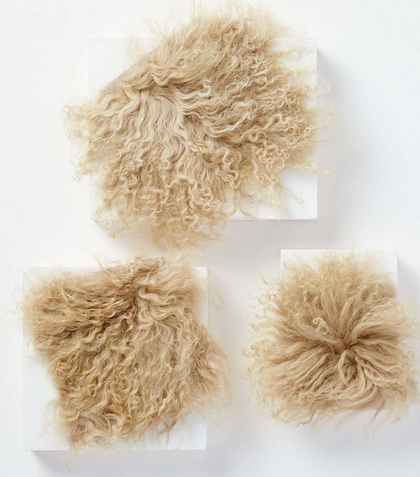 Mongolian Lamb Pillow Cover 16x16