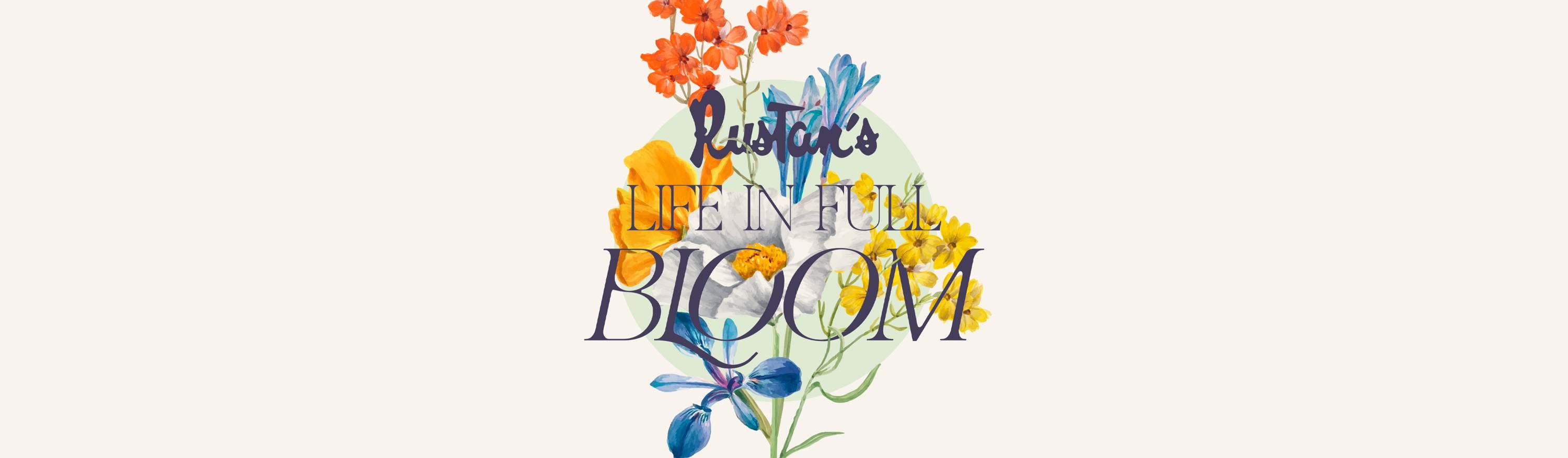 Life in Full Bloom: Summer In-Store Promos