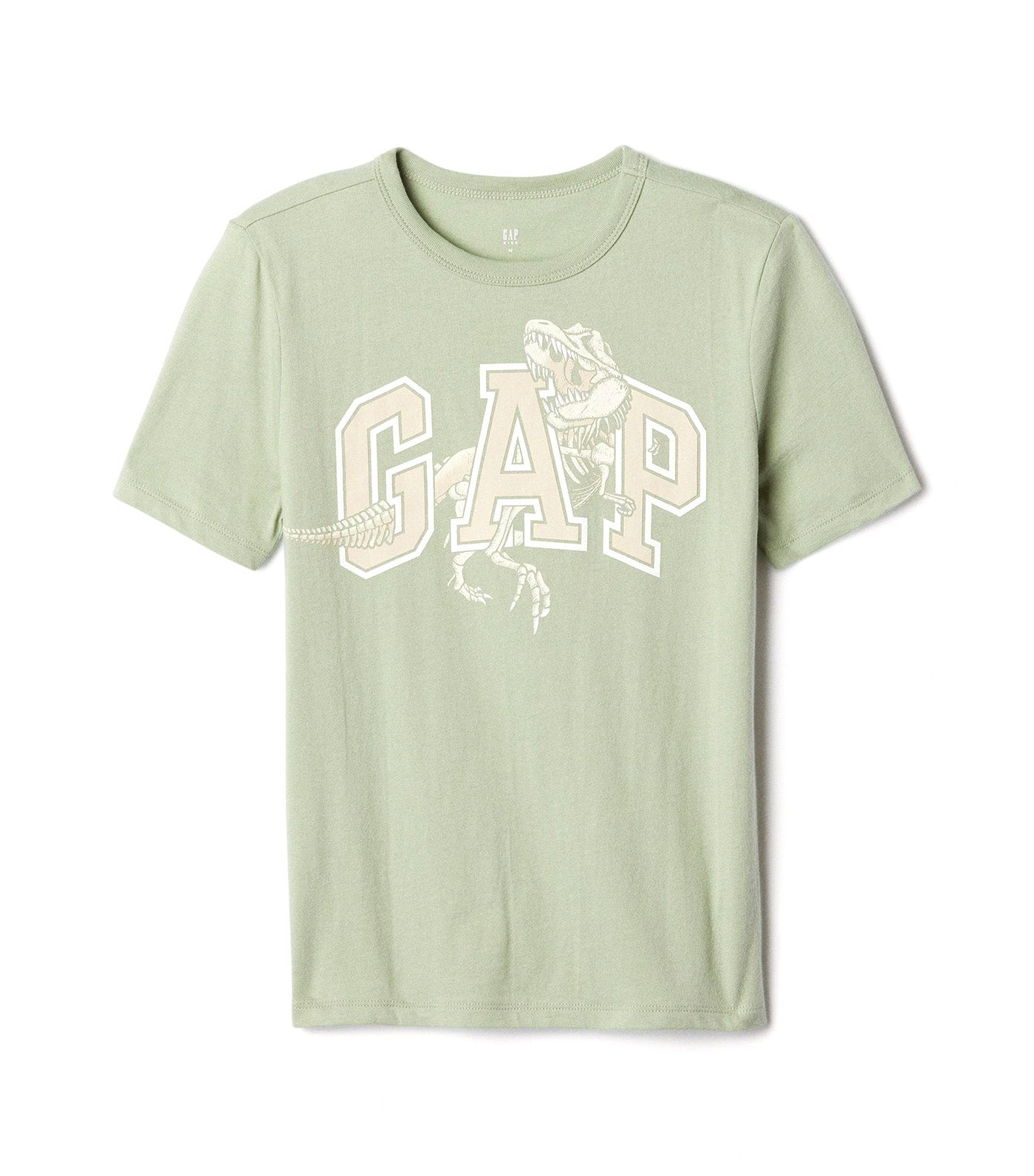 Kids Graphic T-Shirt Desert Sage