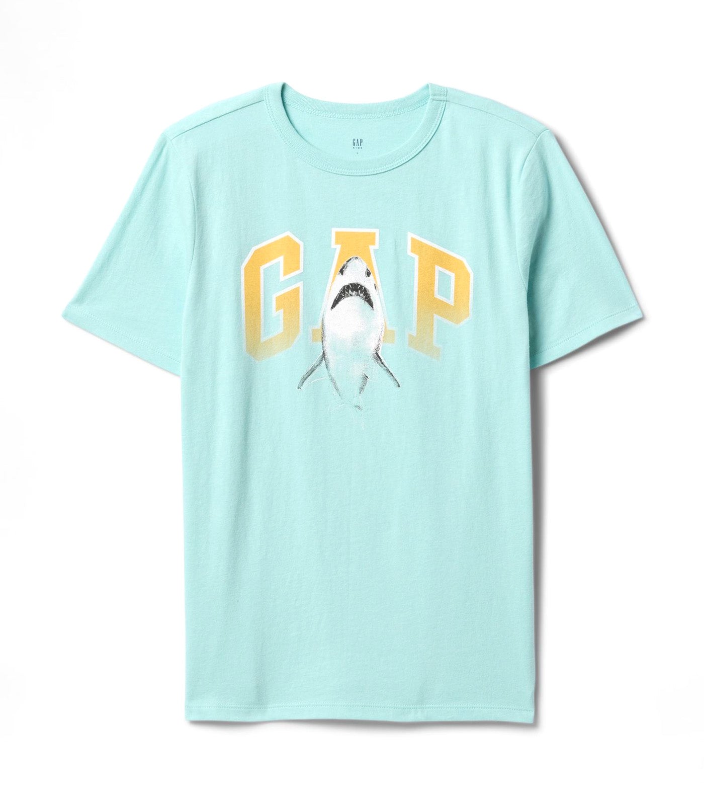 Graphic T-Shirt