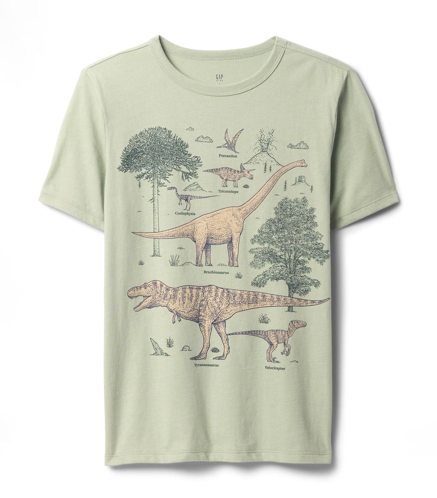 Graphic T-Shirt
