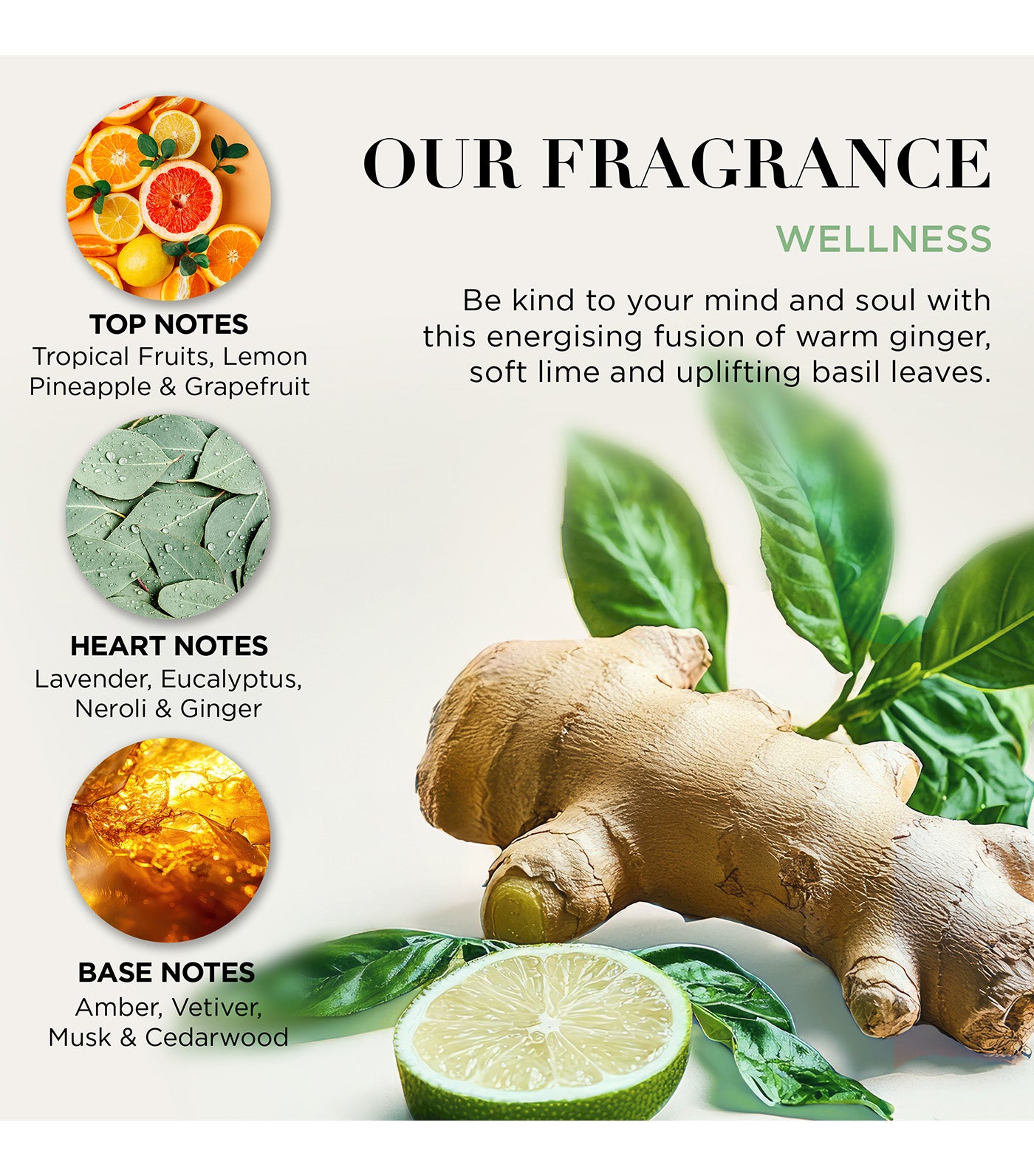 Wellness Body Care Duo Gift Set