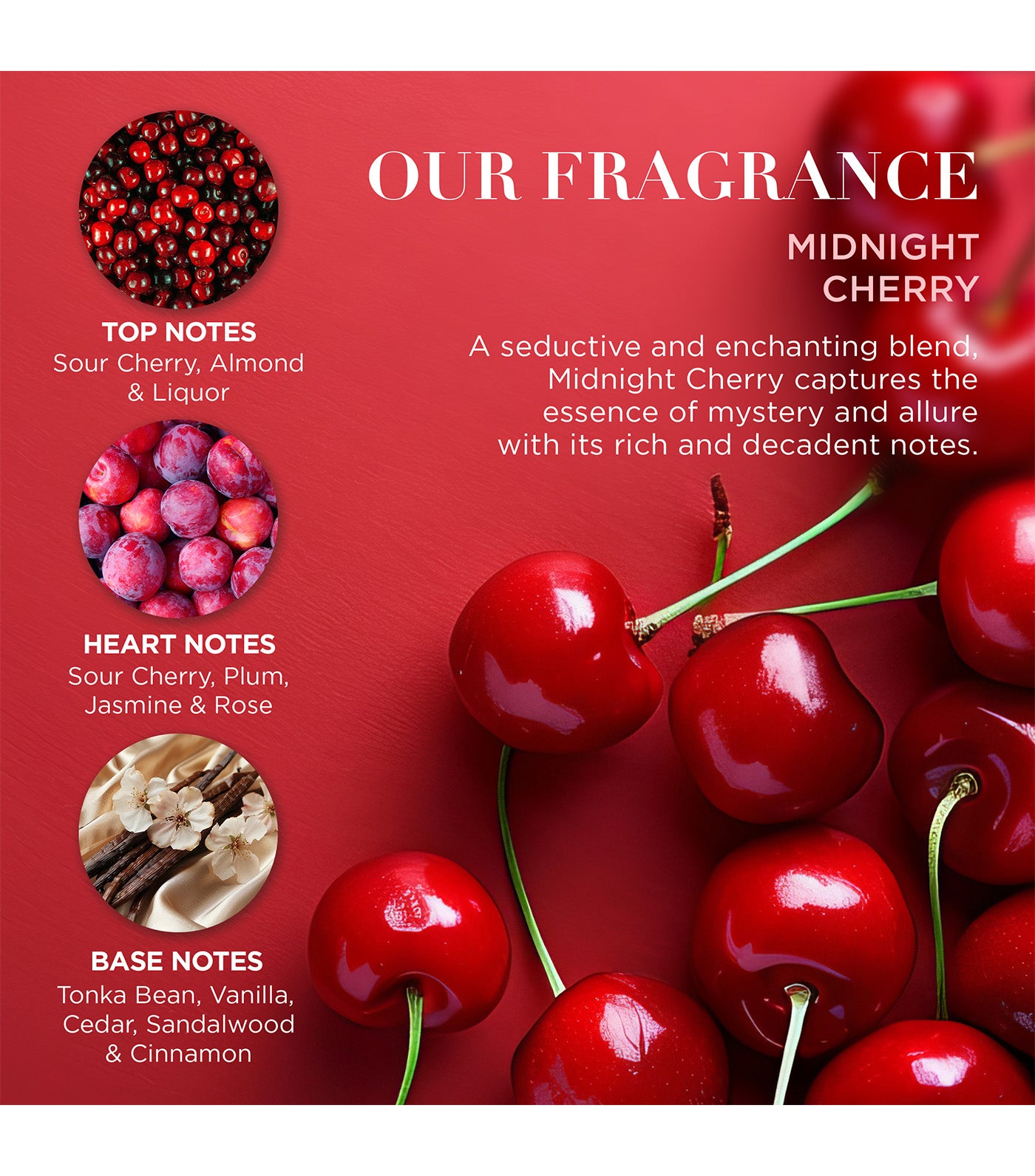 Midnight Cherry Luxury Travel Wash Bag Gift Set