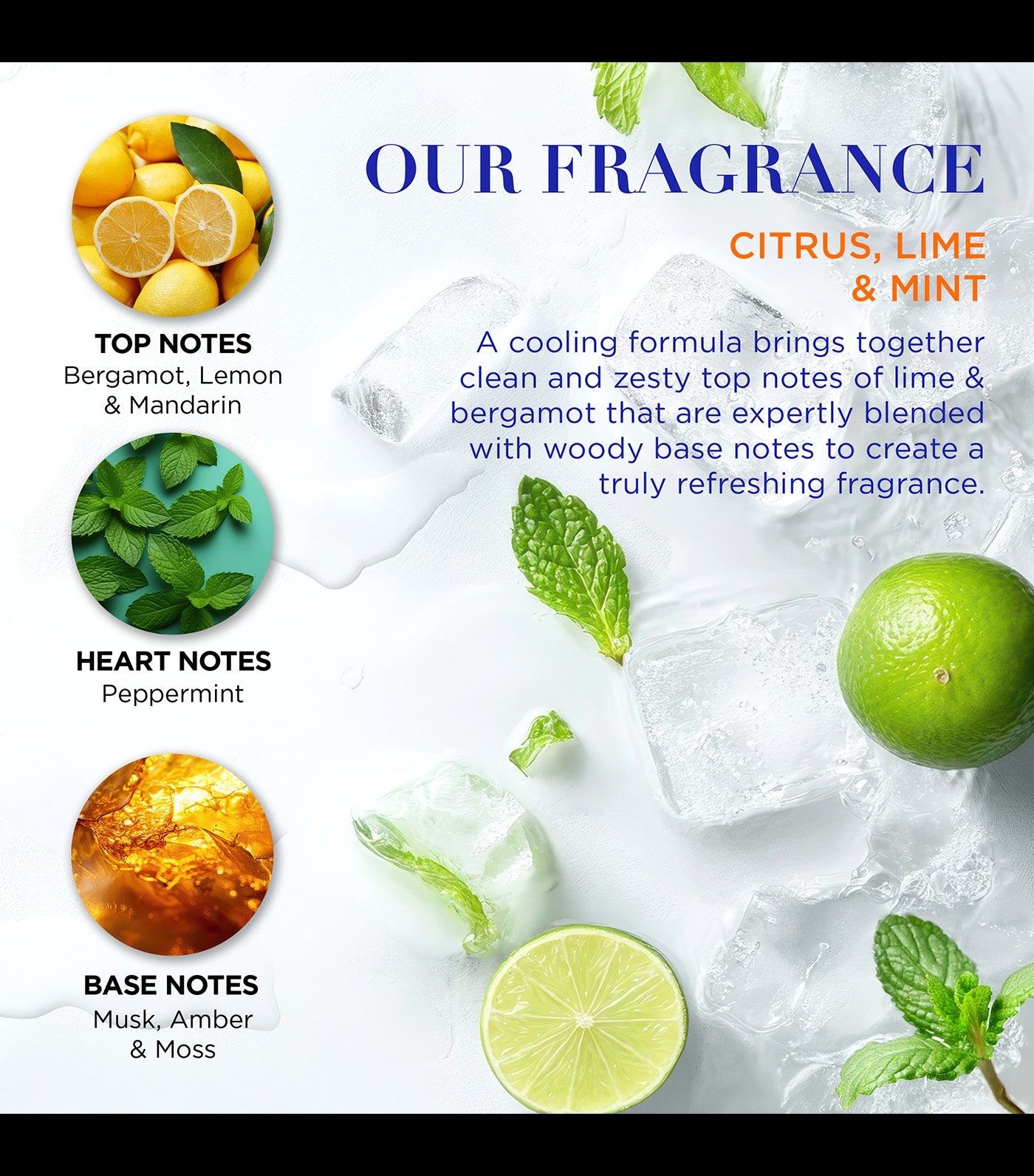 Citrus, Lime & Mint Men's Refreshing Shower Duo Gift Set