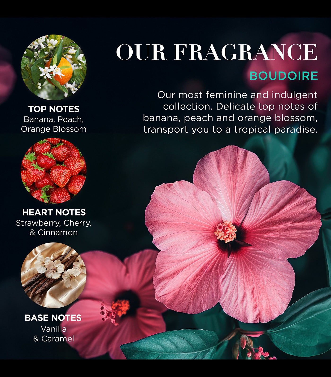 Boudoire Luxury Hand Care Gift Set