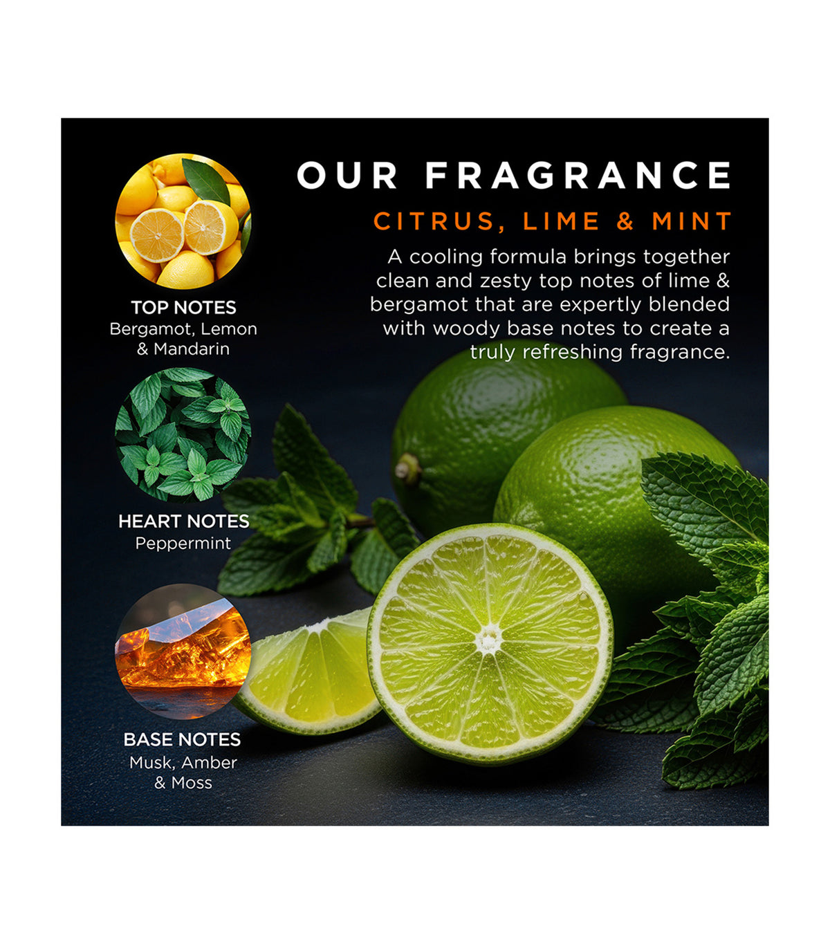 Citrus, Lime & Mint Mens Refreshing Travel Essentials Gift Set