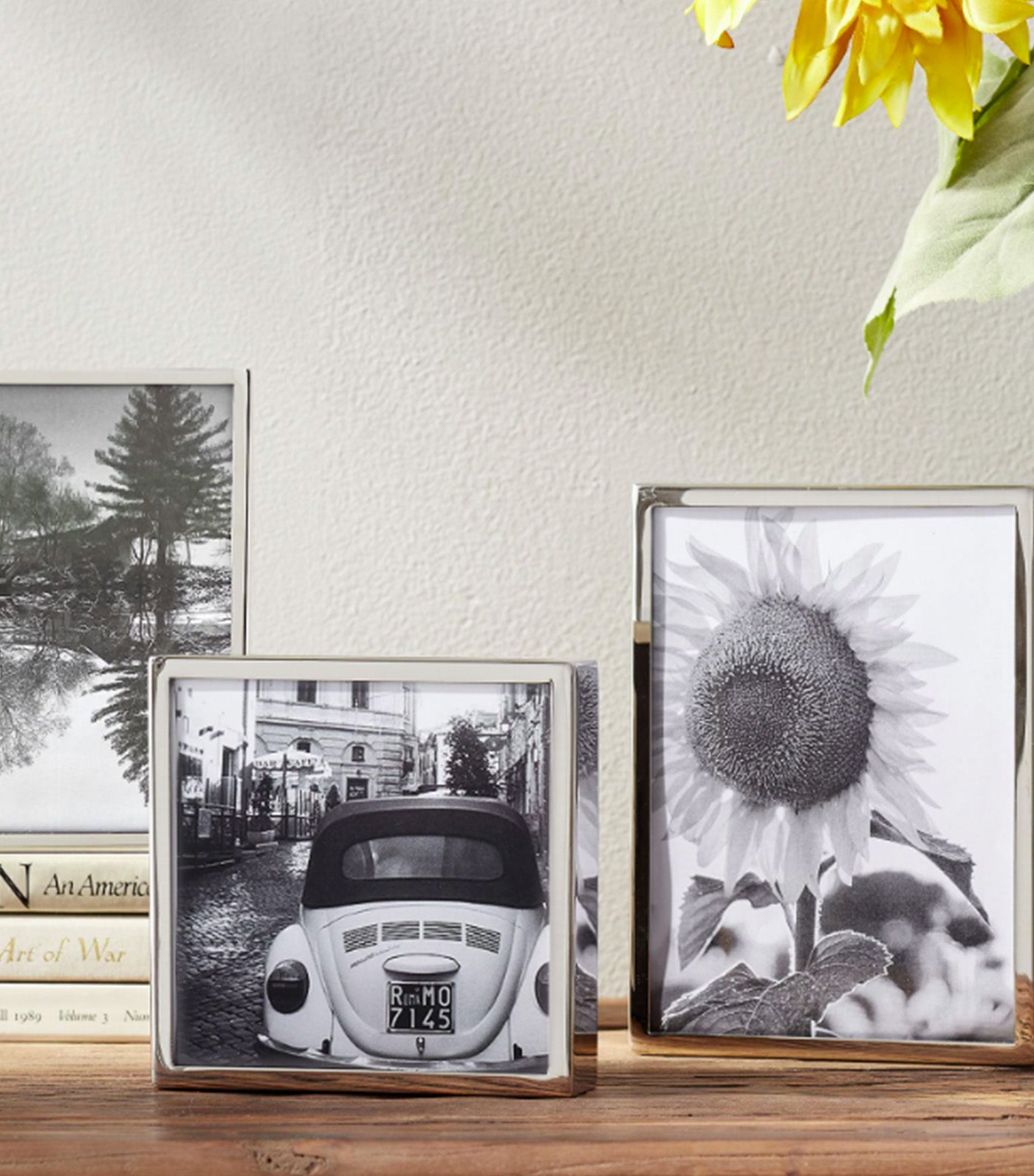 Hagen Picture Frames