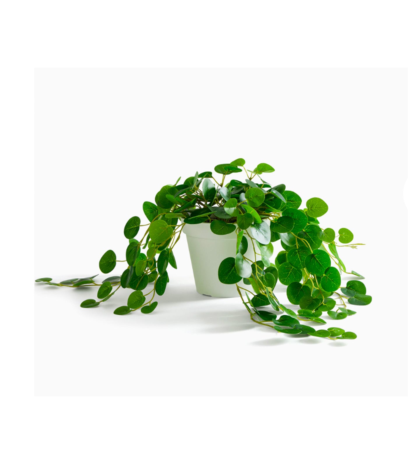 Faux Potted Trailing Leaf Plant Green