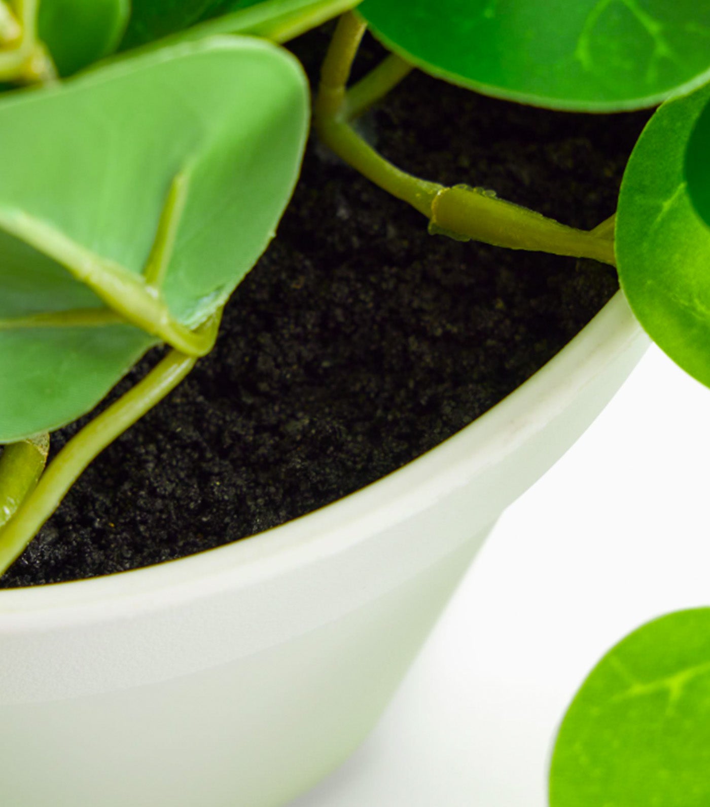 Faux Potted Trailing Leaf Plant Green