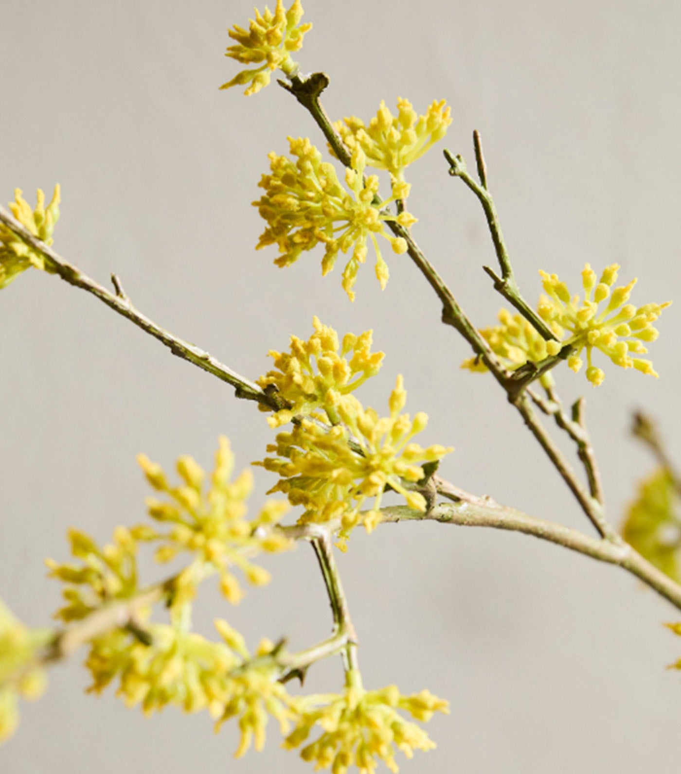 Faux Yellow Bud Branch Yellow