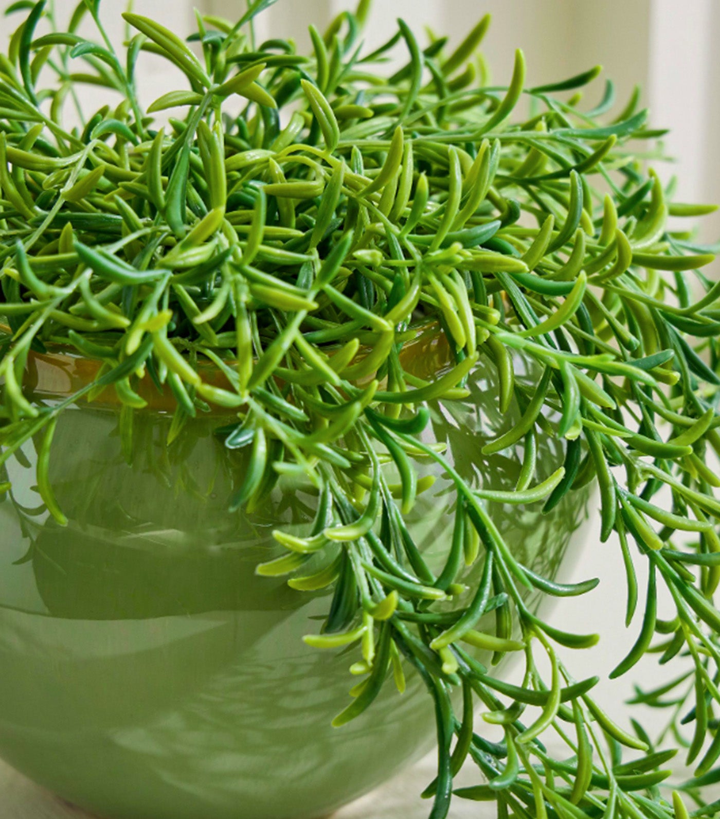 Faux Potted Drippy Plant Green