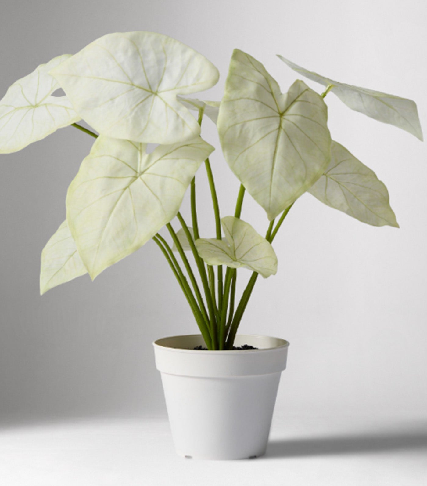 Faux Potted Dasheen Leaf Plant Green