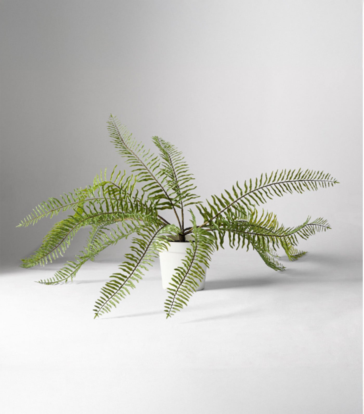 Faux Potted Long Drippy Plant Green