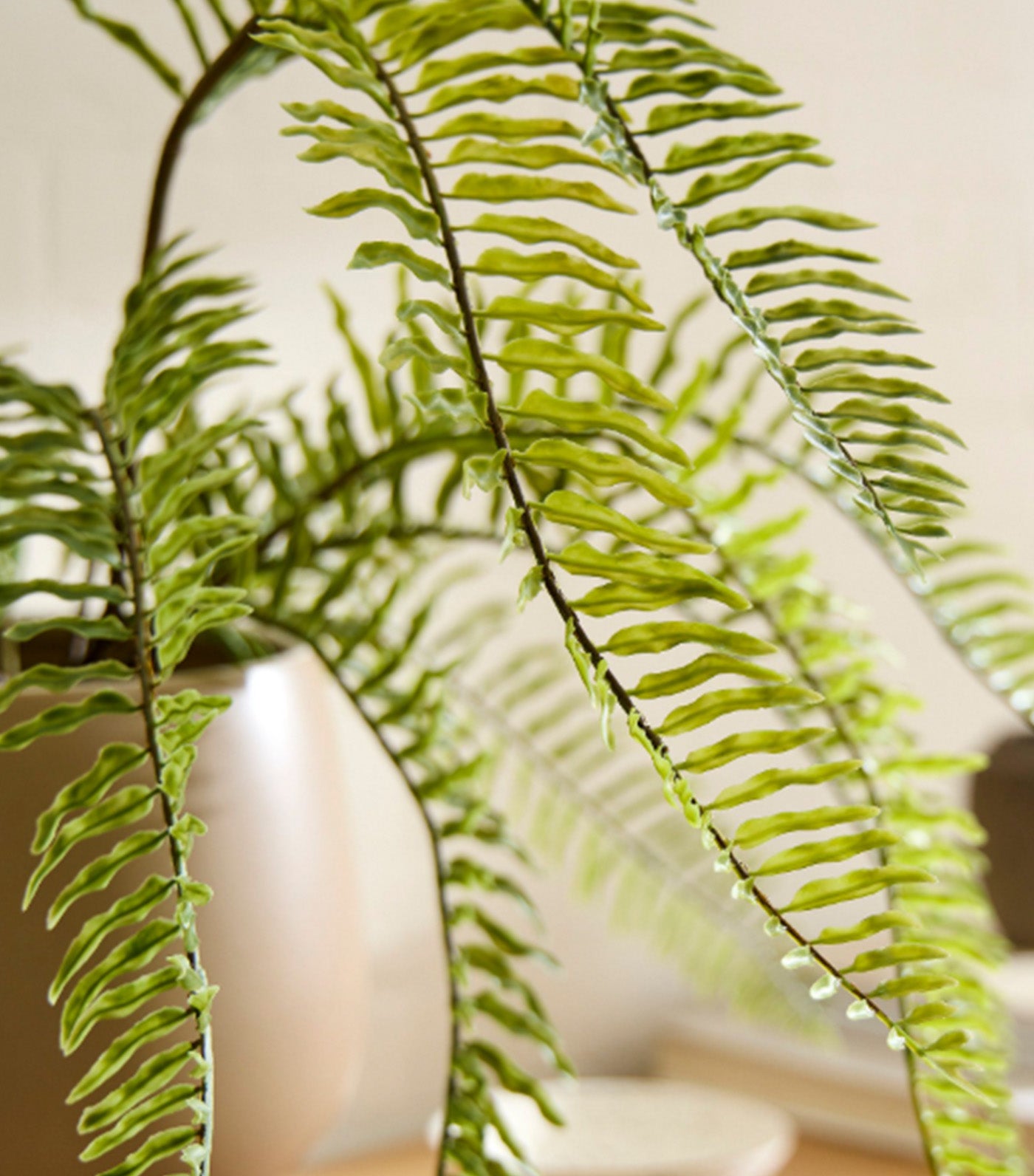 Faux Potted Long Drippy Plant Green