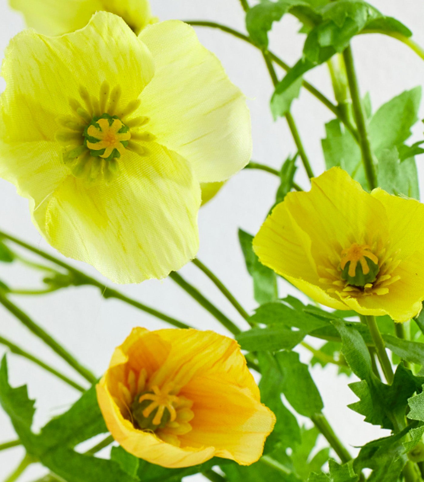 Faux Poppy Bundle Yellow