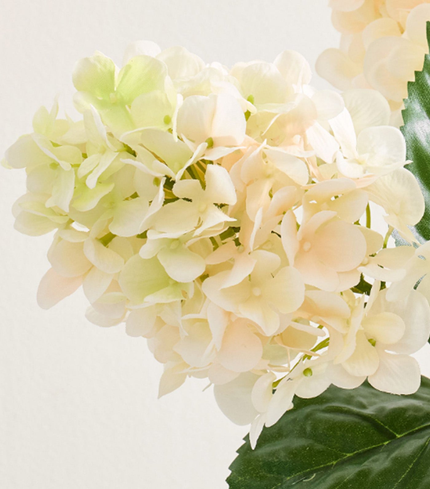 Faux Cream Cone Hydrangea Bundle
