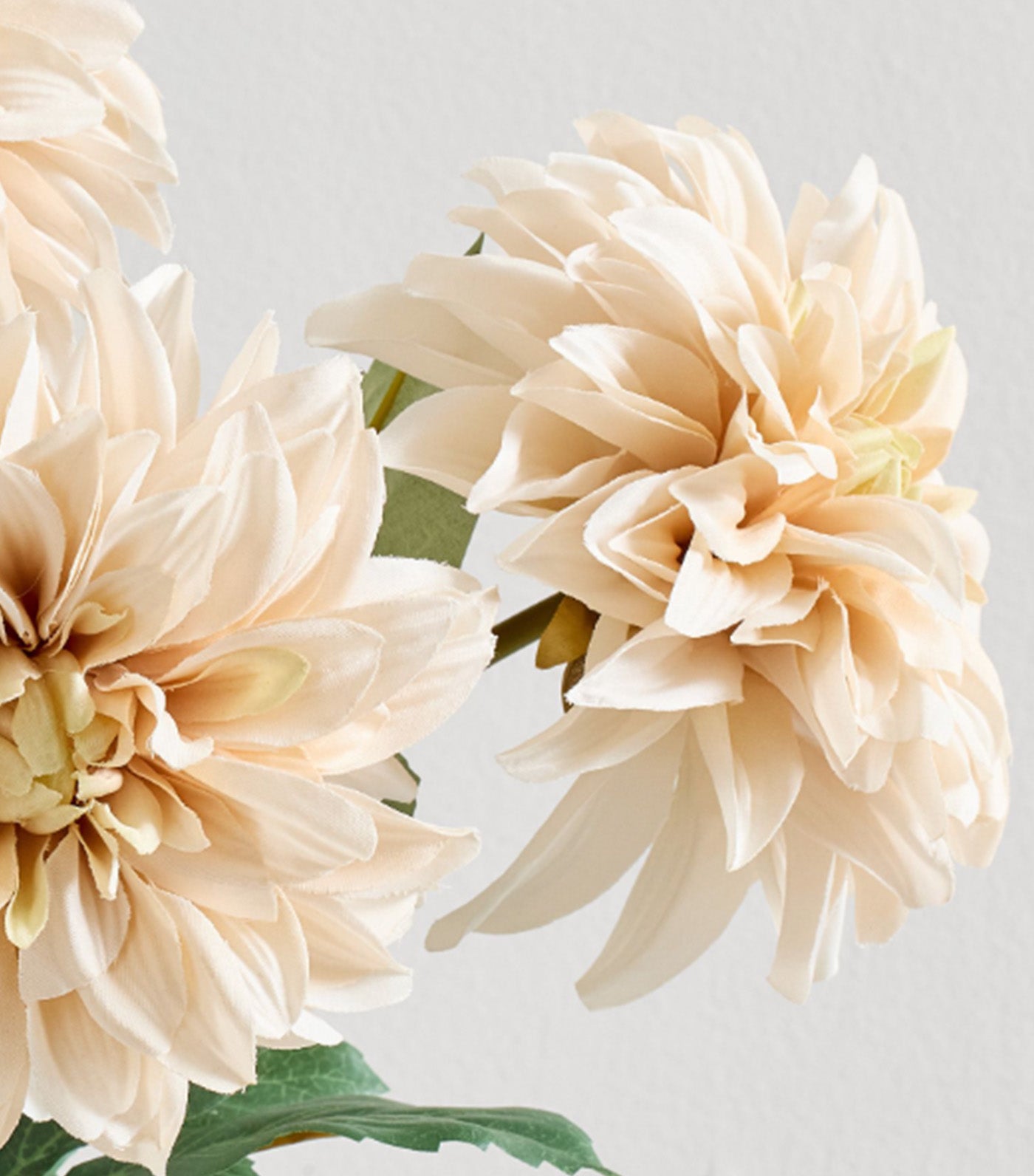 Faux Cream Dahlia Bundle