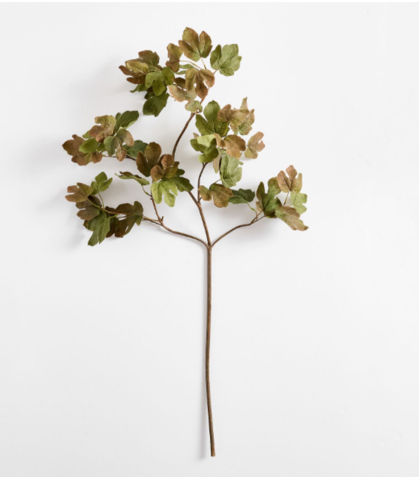 Faux Fig Leaf Branch