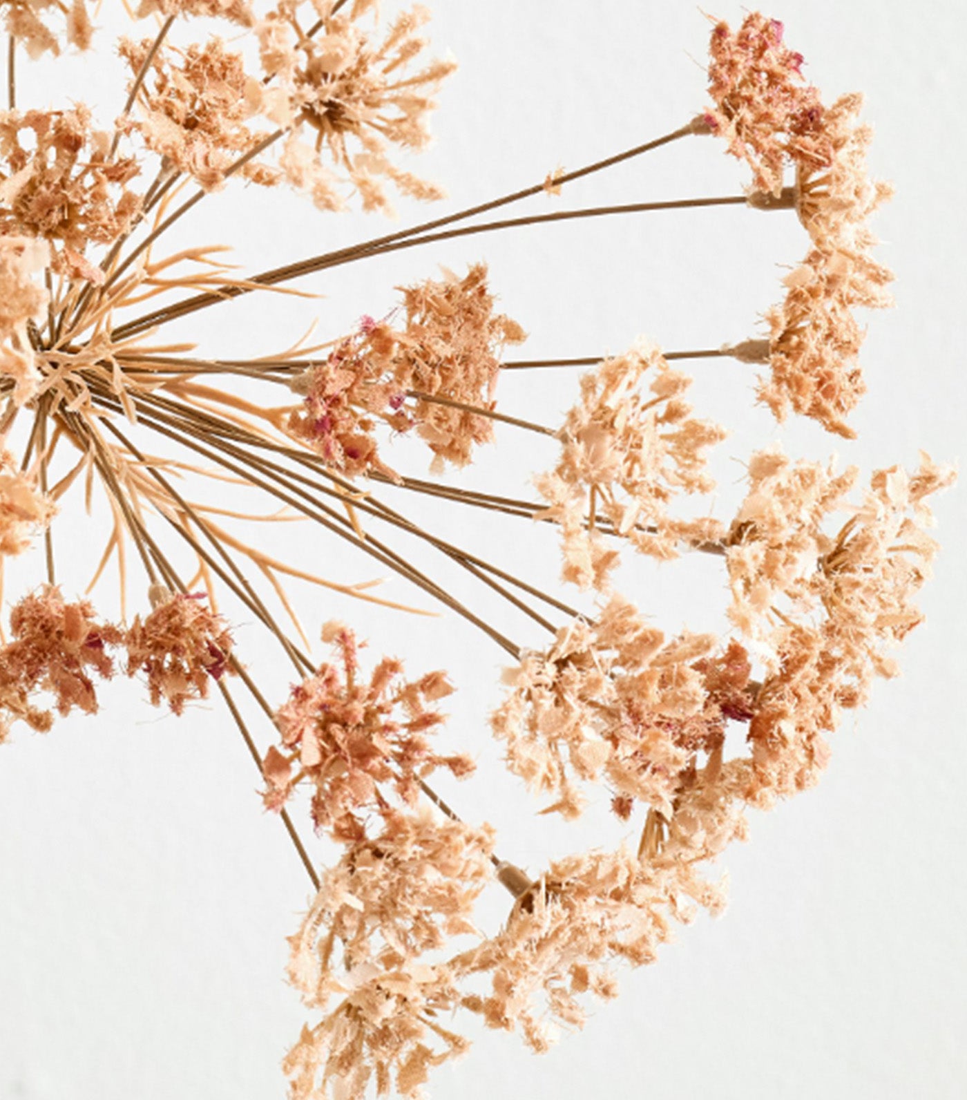 Faux Queen Anne's Lace Branch