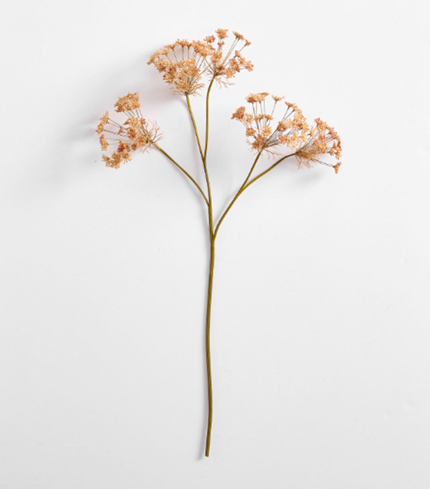 Faux Queen Anne's Lace Branch