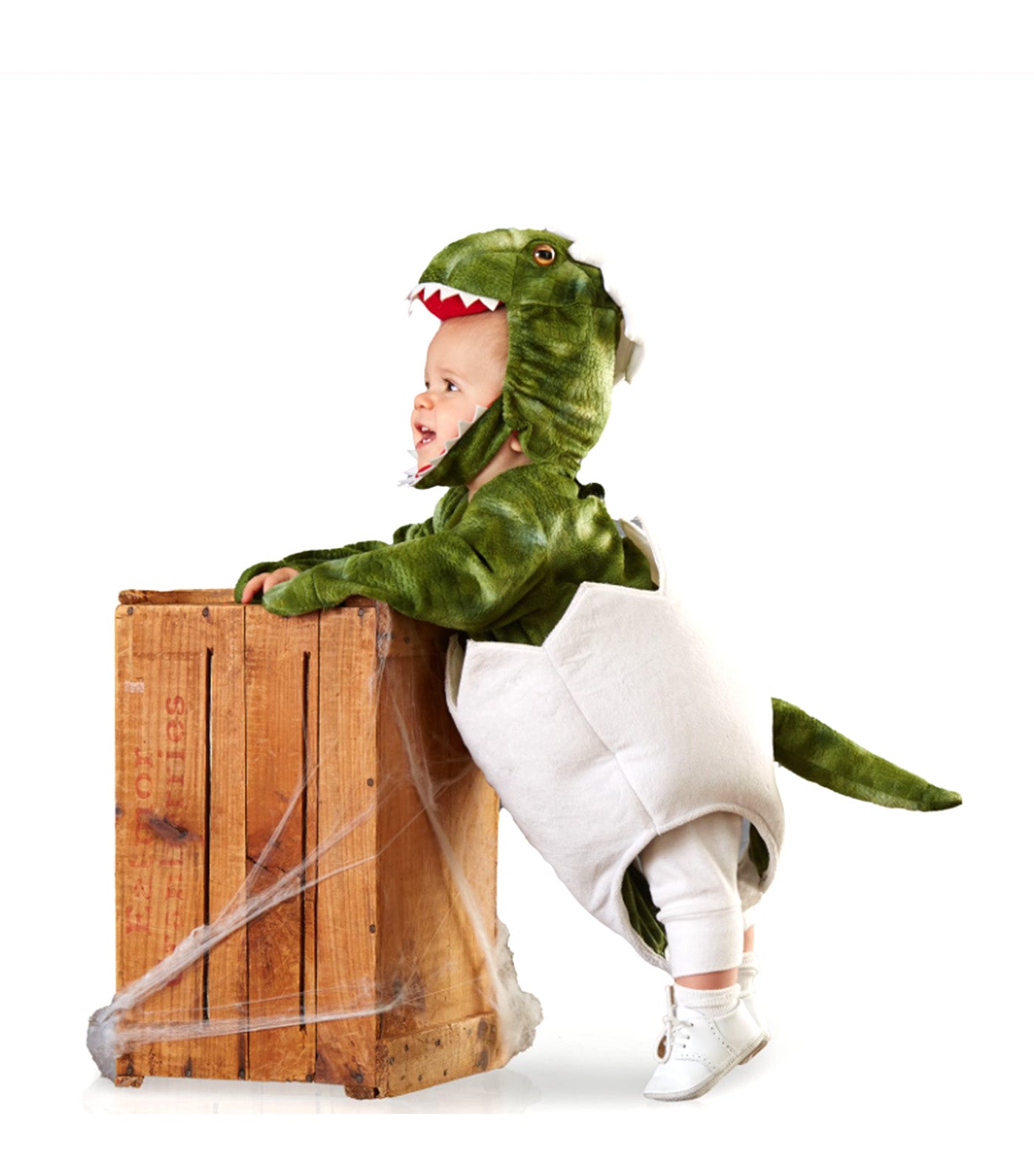 Baby T-Rex Egg Halloween Costume