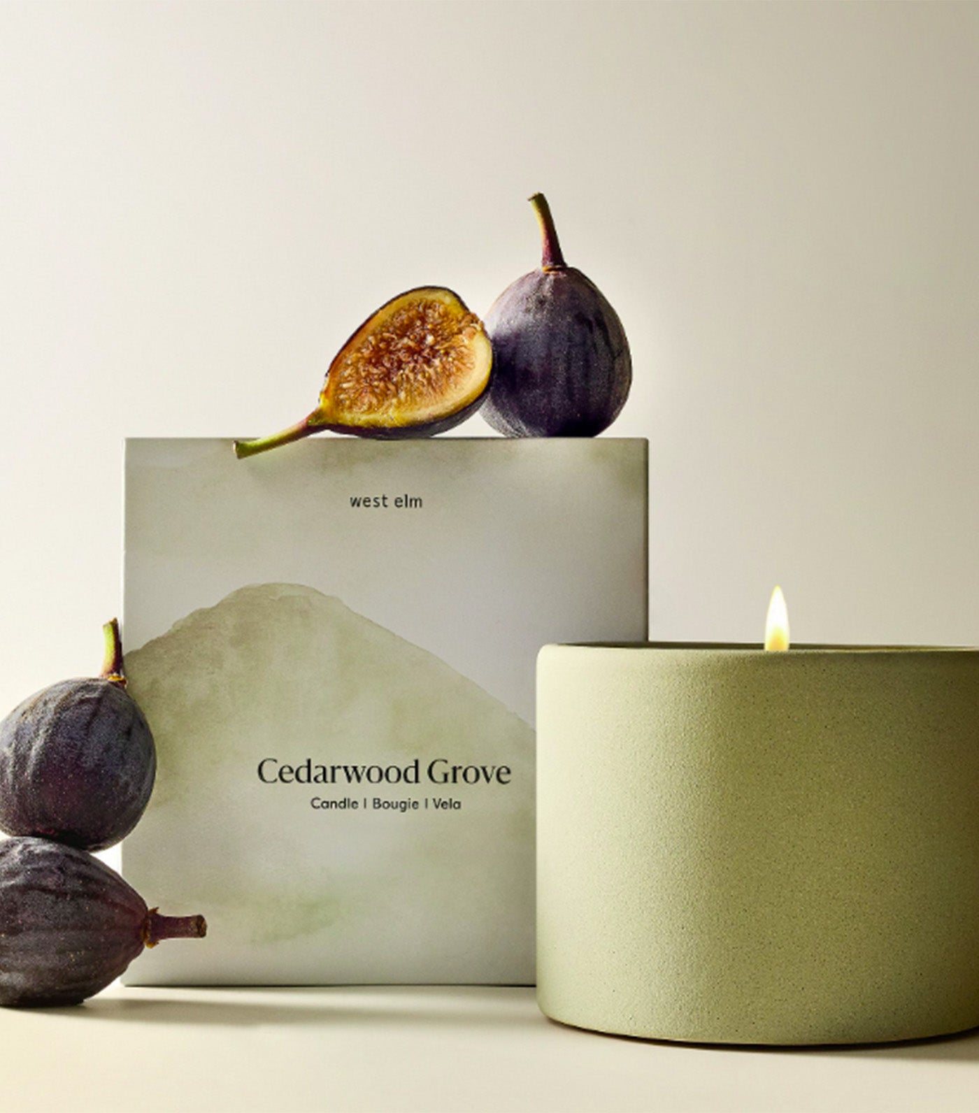 west elm Terra Homescent Collection - Single Wicked Boxed Candle - Cedarwood Grove