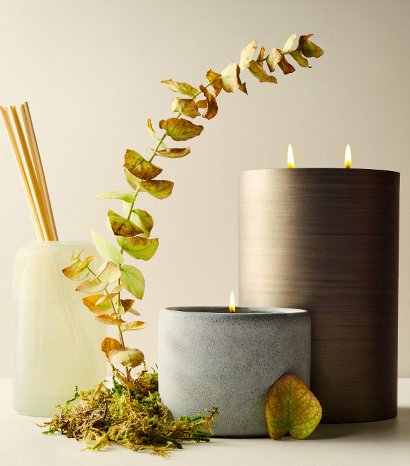 west elm Terra Homescent Collection - Single Wicked Boxed Candle - Seagrass Mist
