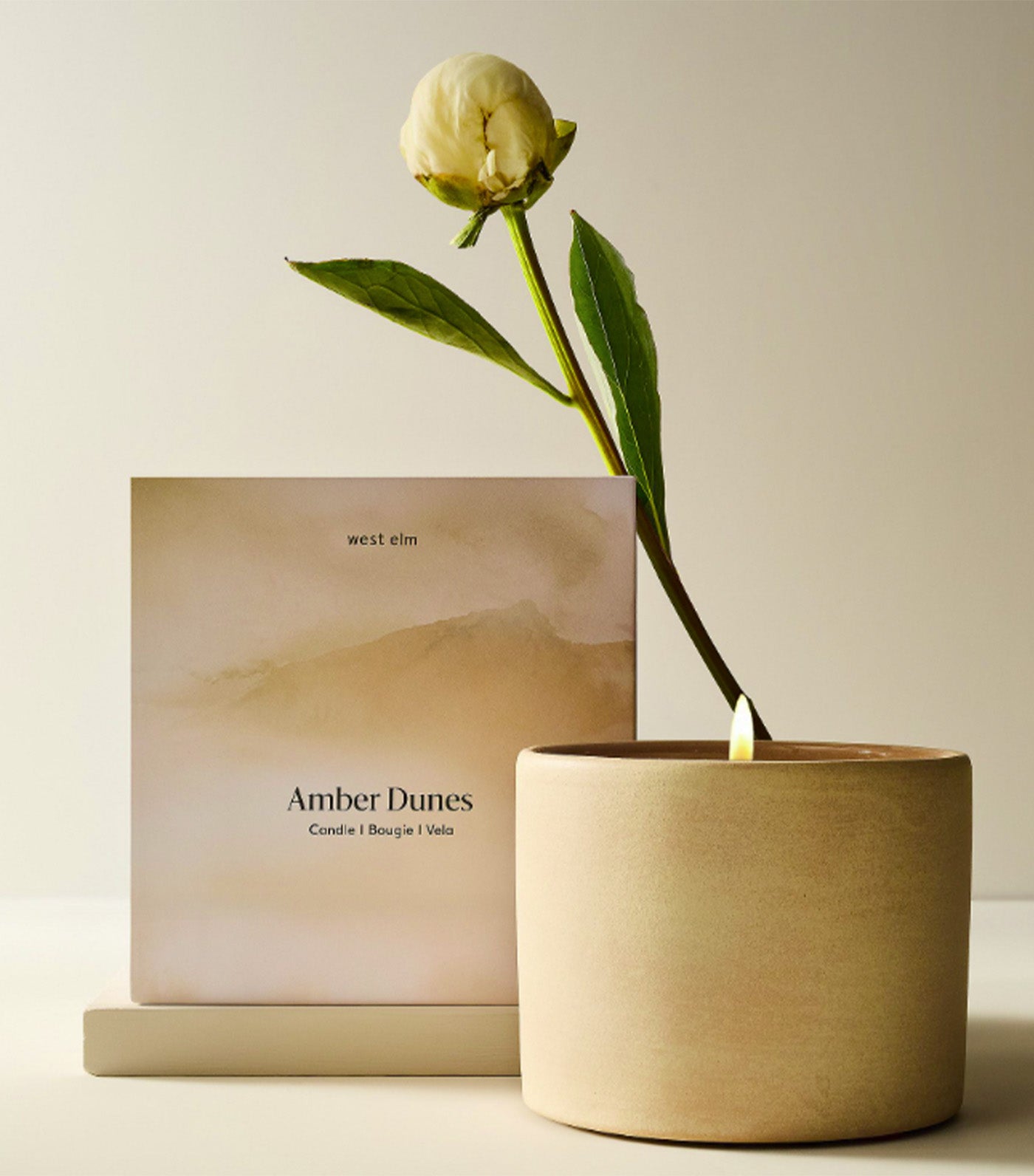 west elm Terra Homescent Collection - Single Wicked Boxed Candle - Amber Dunes