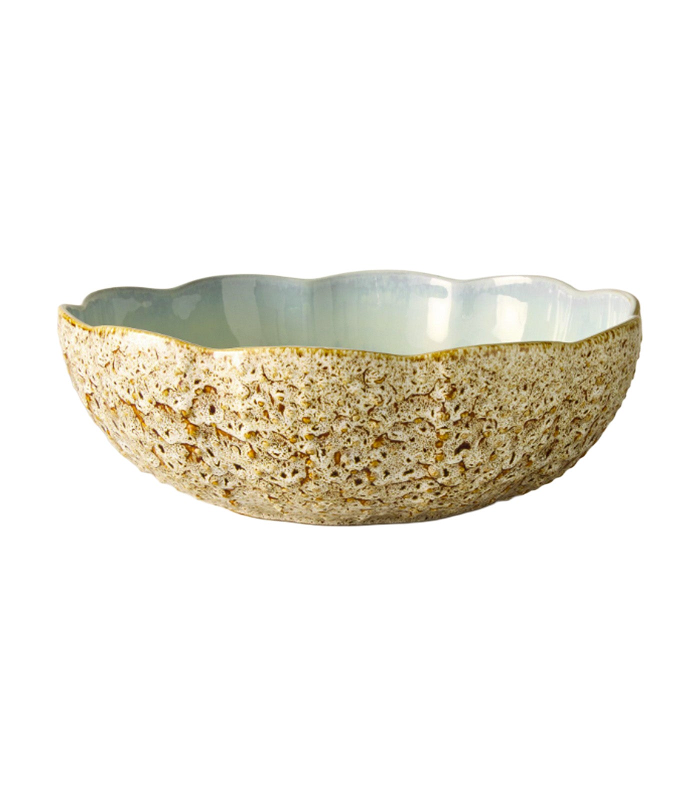 Seashell Stoneware Serveware Collection