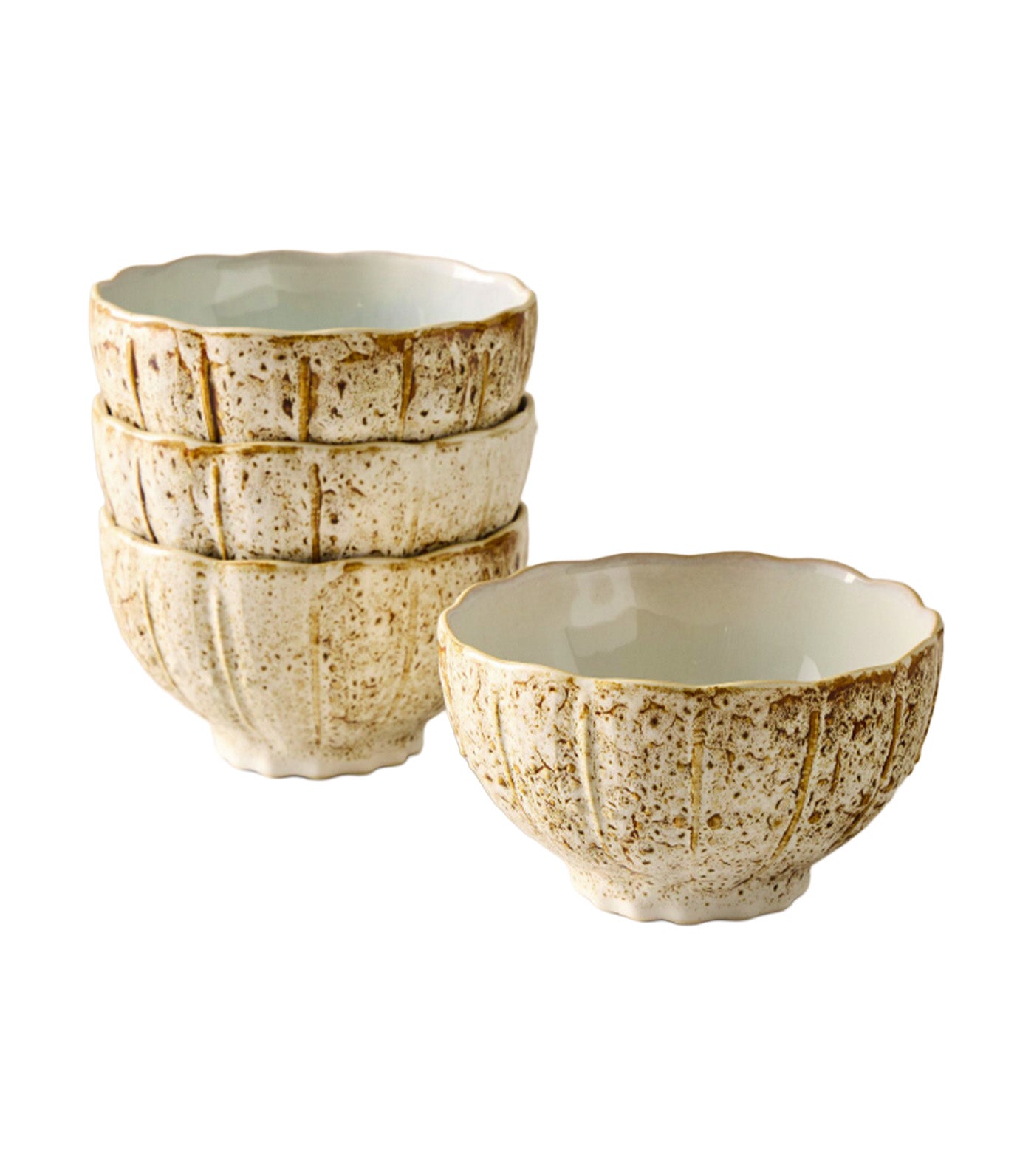 Seashell Stoneware Serveware Collection