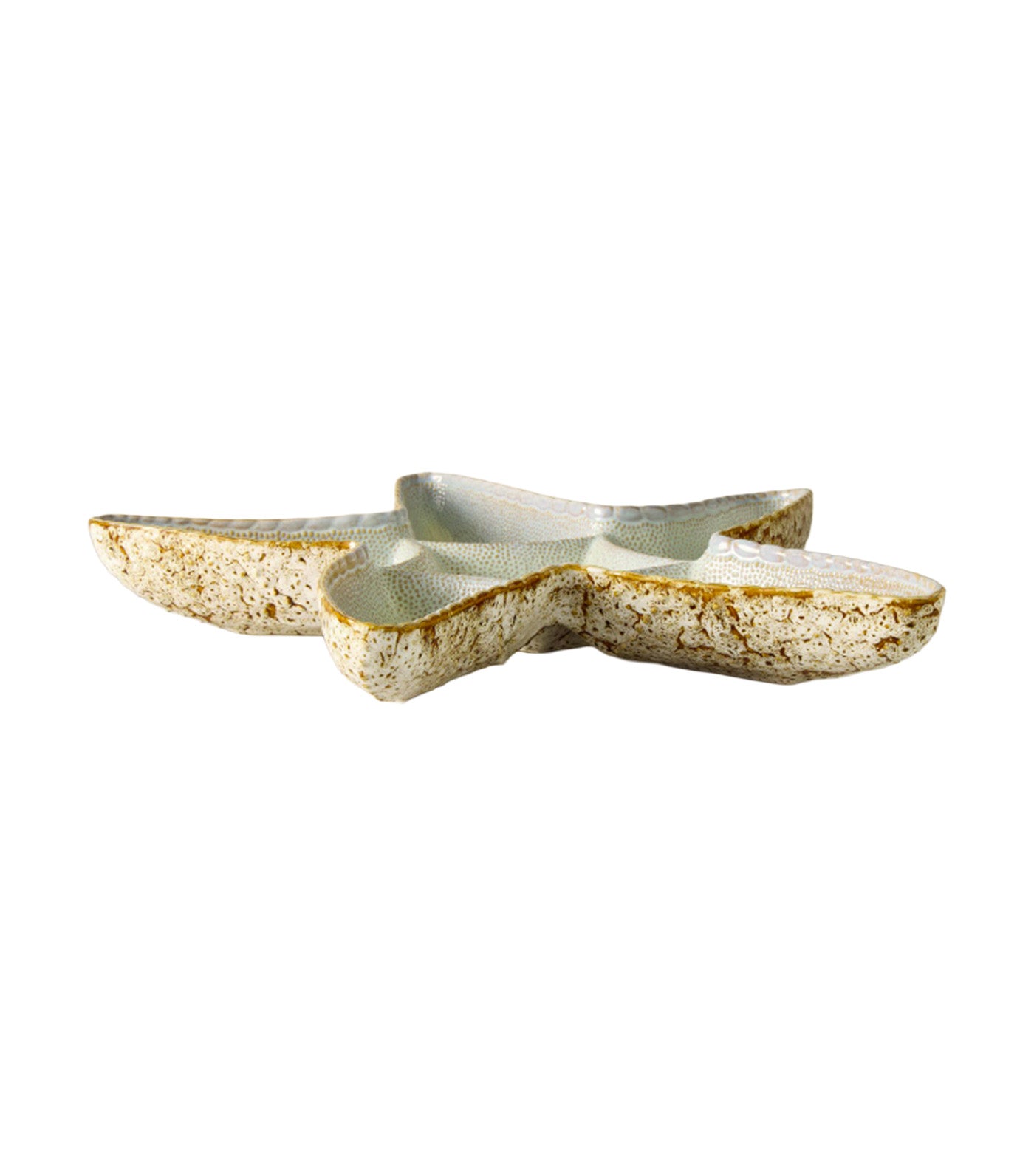 Seashell Stoneware Serveware Collection