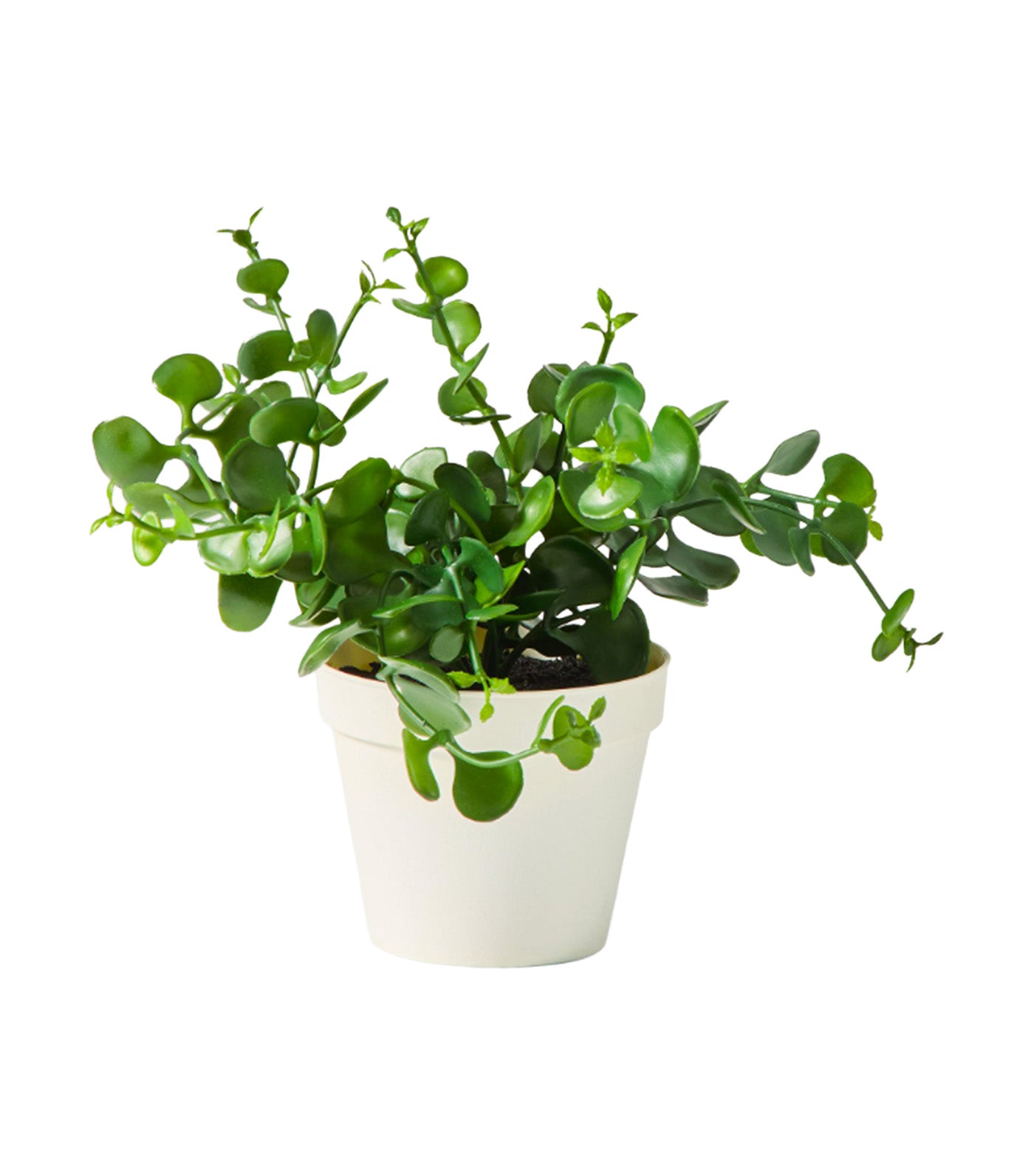 Faux Eucalyptus Potted Plant