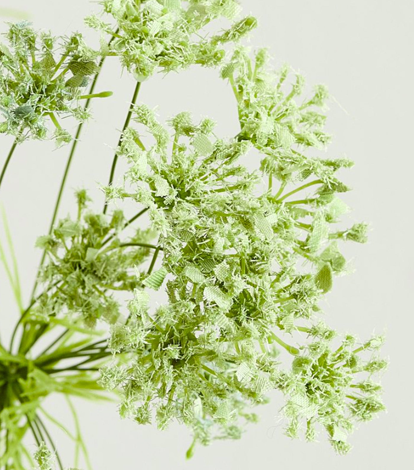 Faux Oversized Queen Anne's Lace Branch