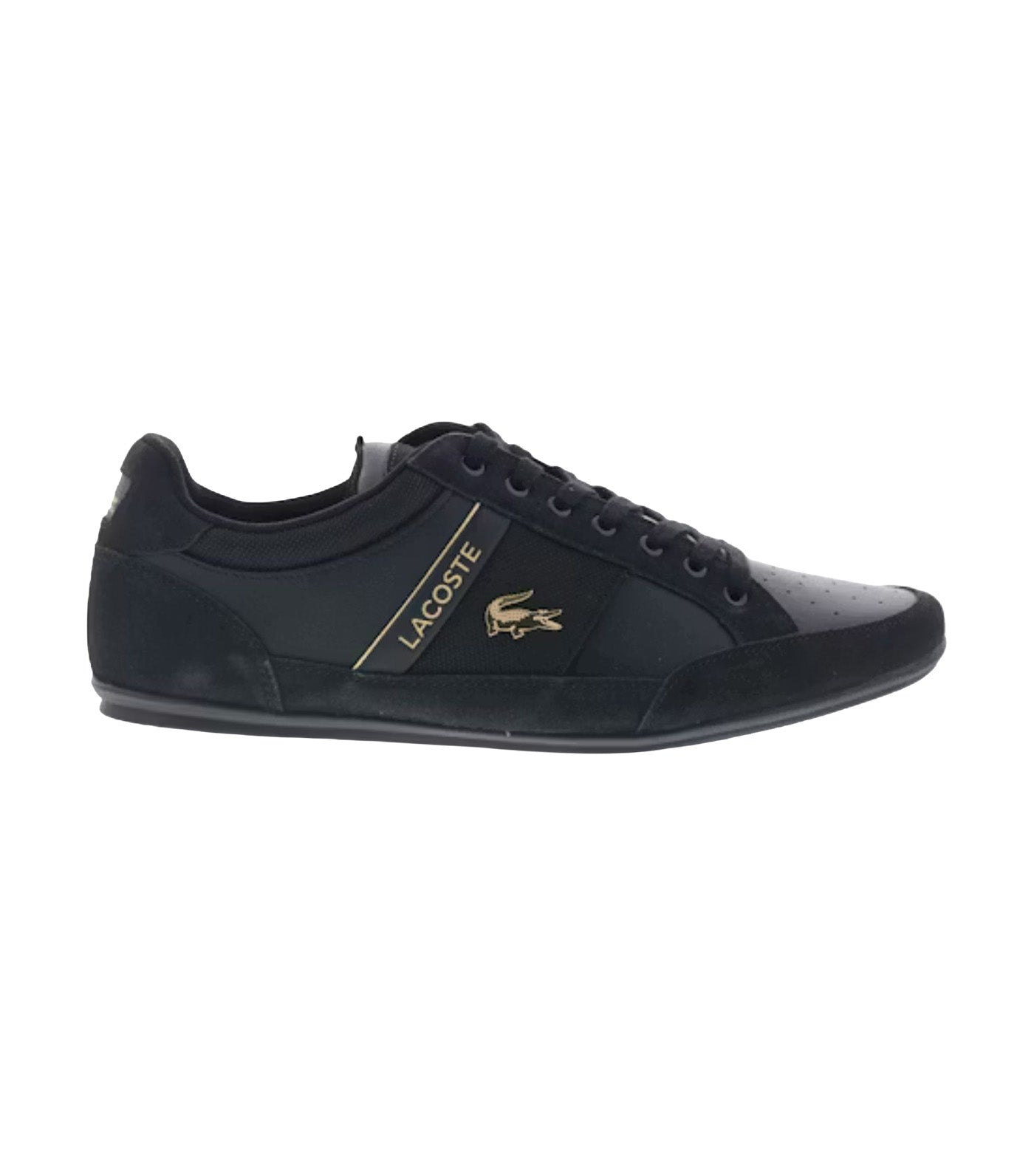 Men's Chaymon Suede Sneakers Black/Gold