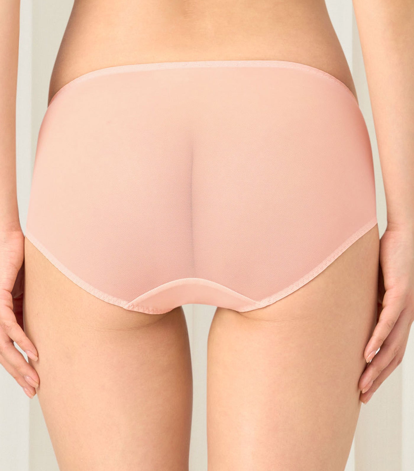 Style Fairy Hipster Panty Skin
