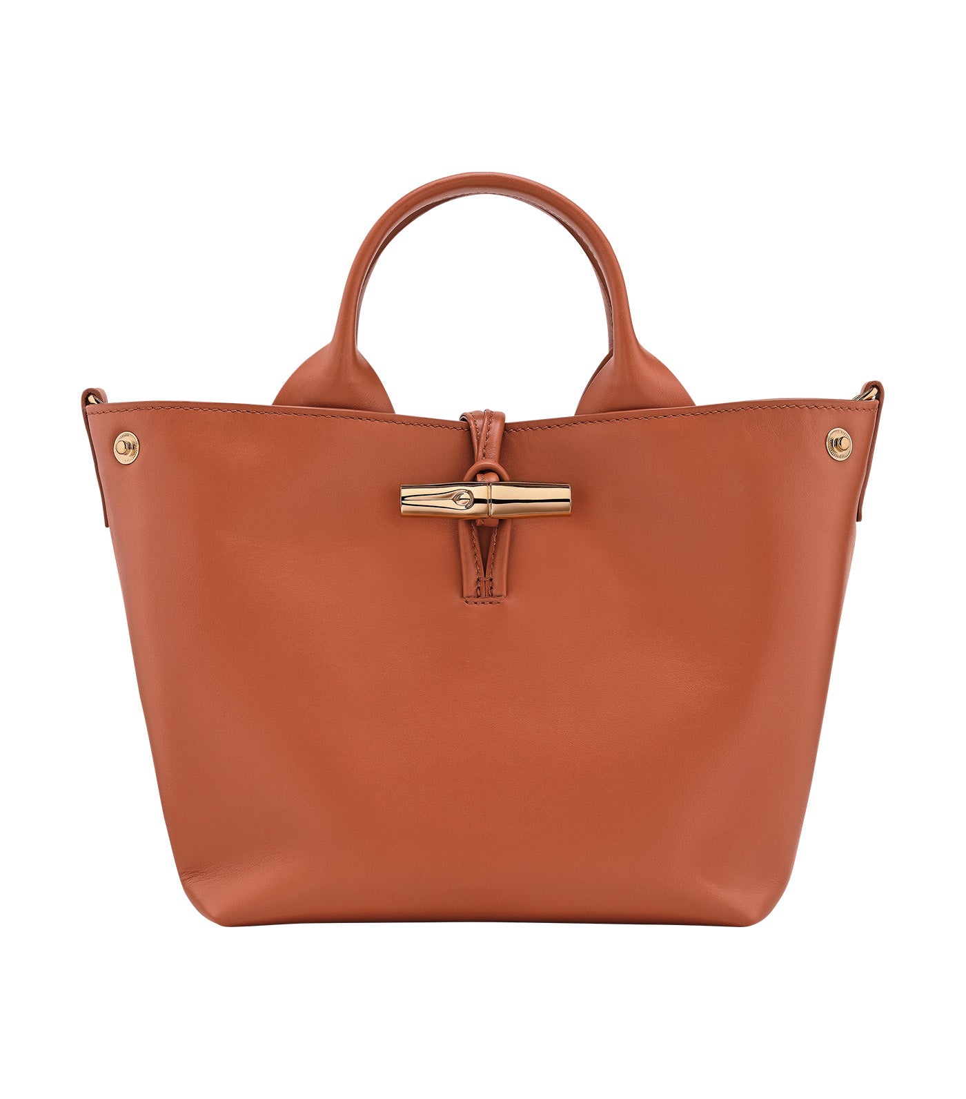 Le Roseau S Handbag Bark