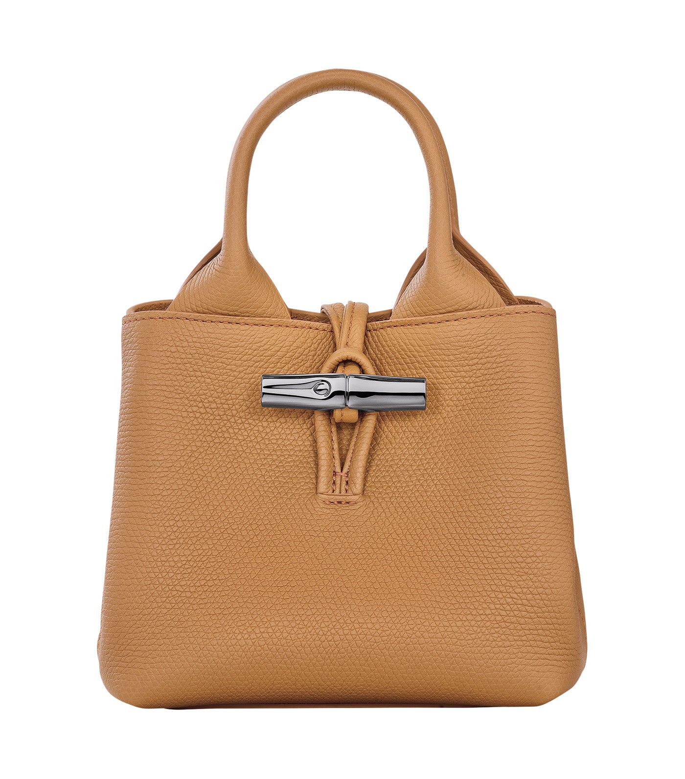Le Roseau Handbag