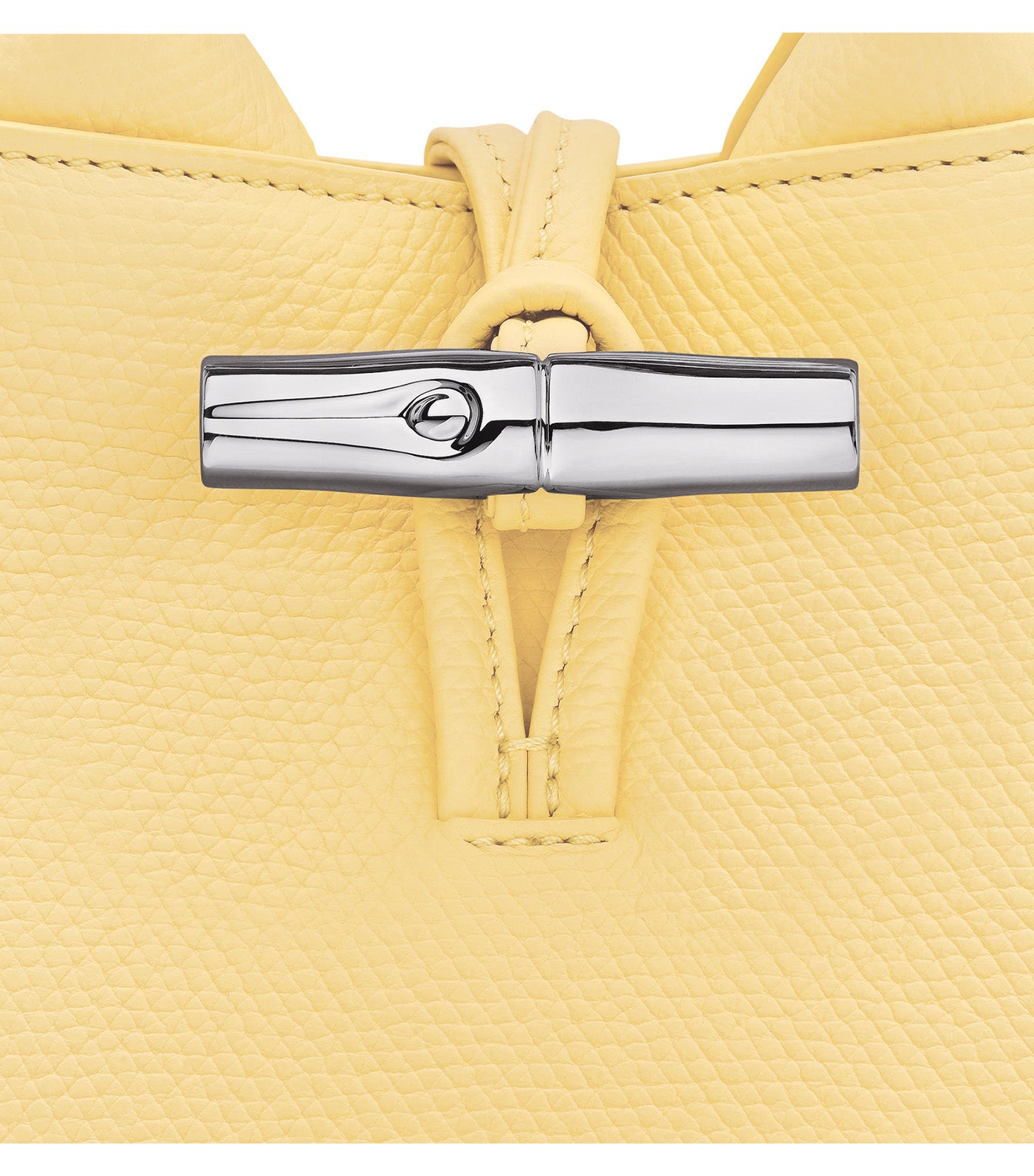 Le Roseau Handbag