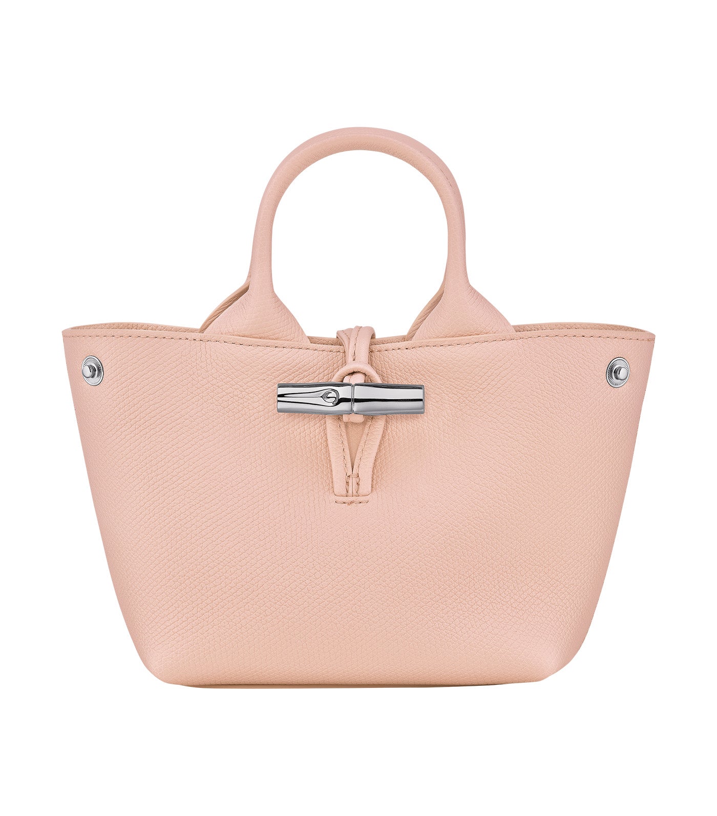 Le Roseau XS Handbag Ballerina