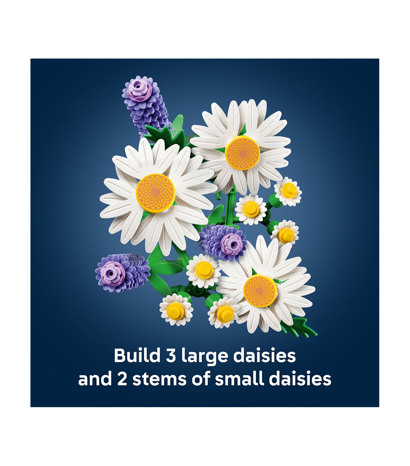 Botanicals Daisies