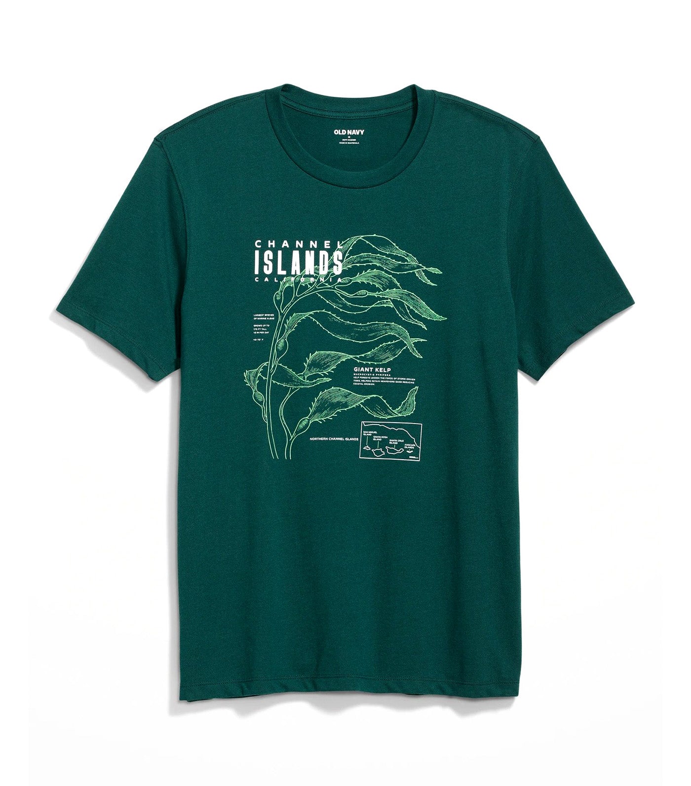 Soft-Washed Graphic T-Shirt for Men Darkwater Teal