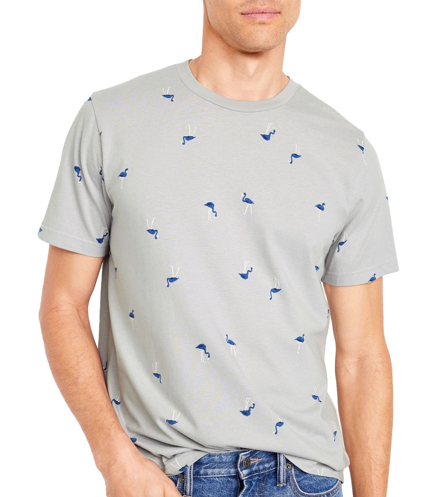Crew-Neck T-Shirt for Men Flamingo