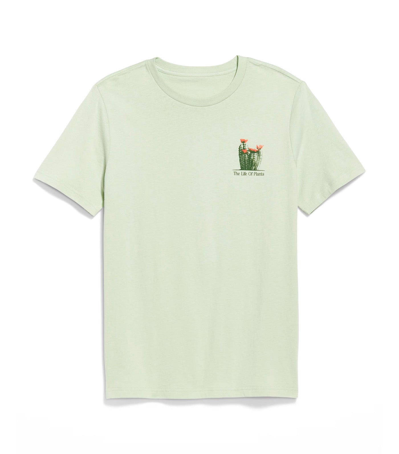 Graphic T-Shirt for Men Aloe Vera