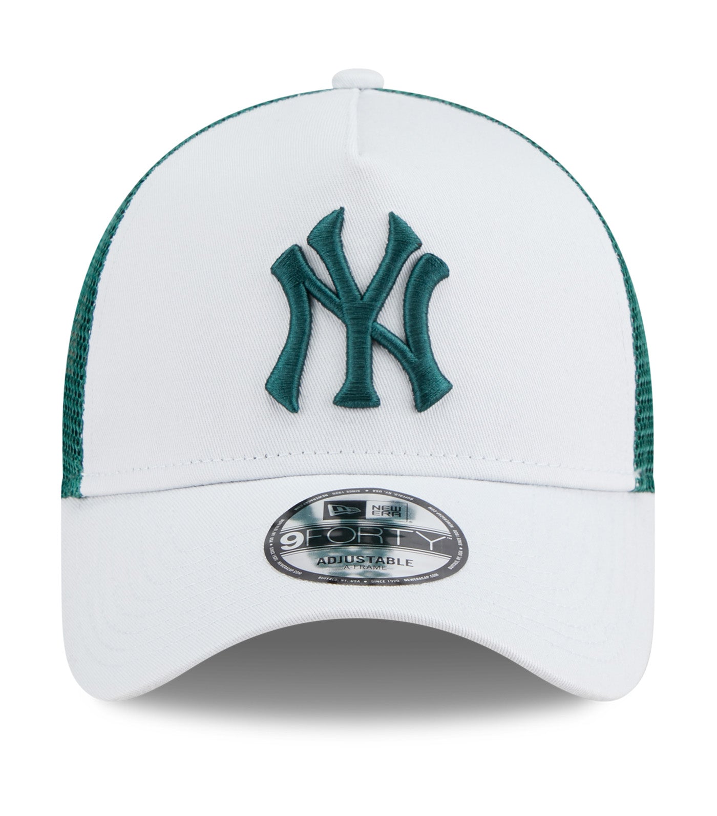 New York Yankees Color Era 9FORTY A-Frame Cap Silver Snow Green