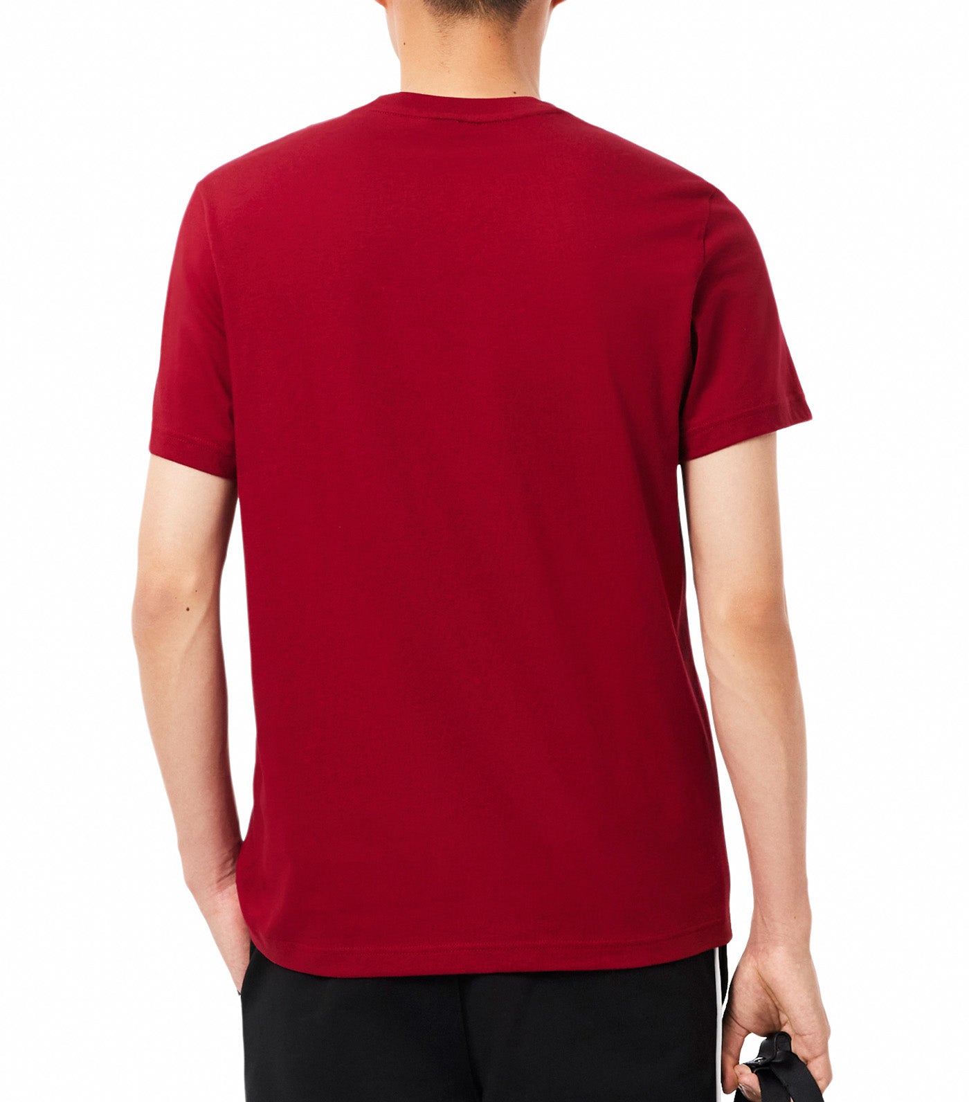 Lacoste Regular Fit Trim T-Shirt Bordeaux