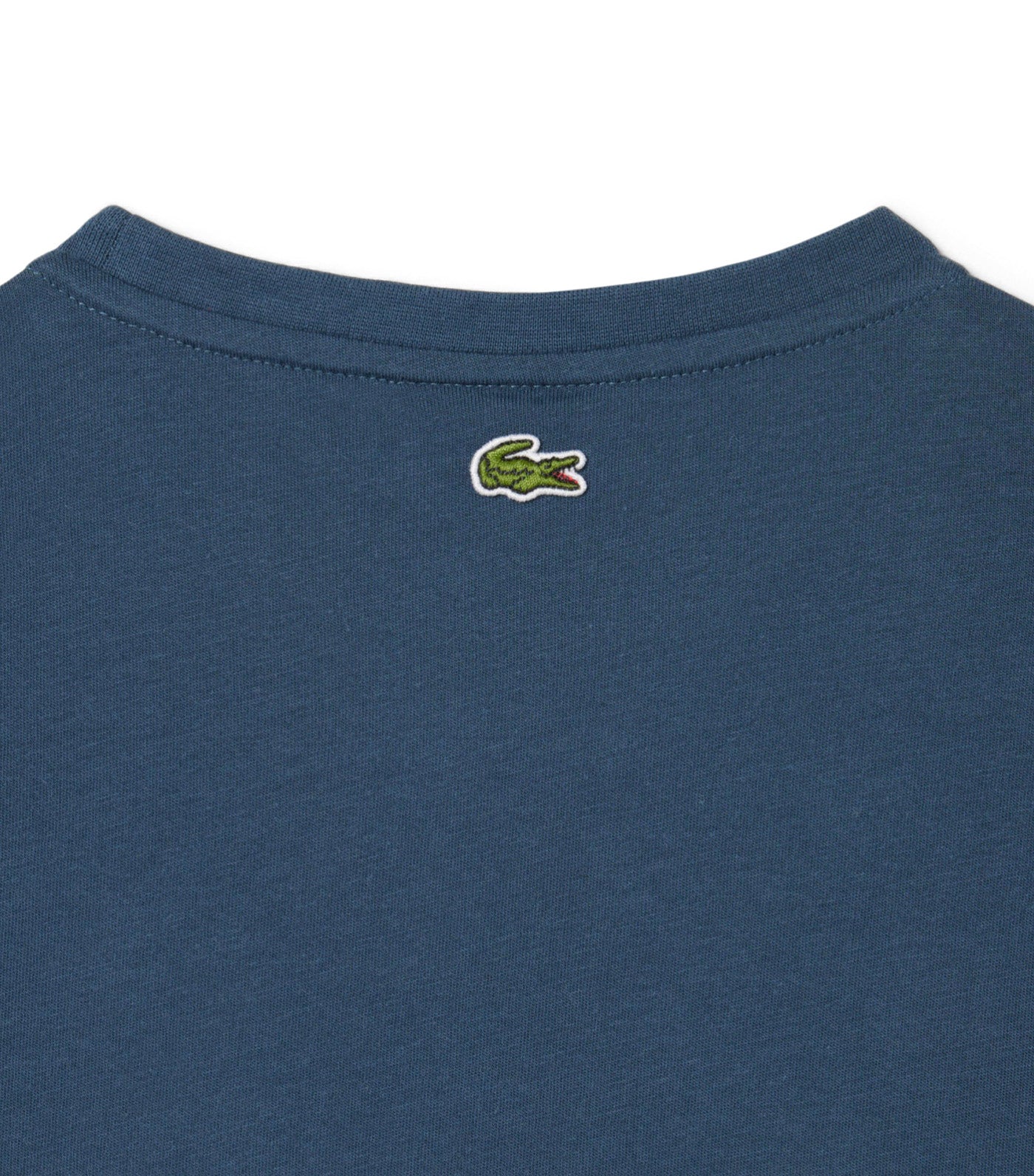 Print Crocodile Cotton T-Shirt Falcon