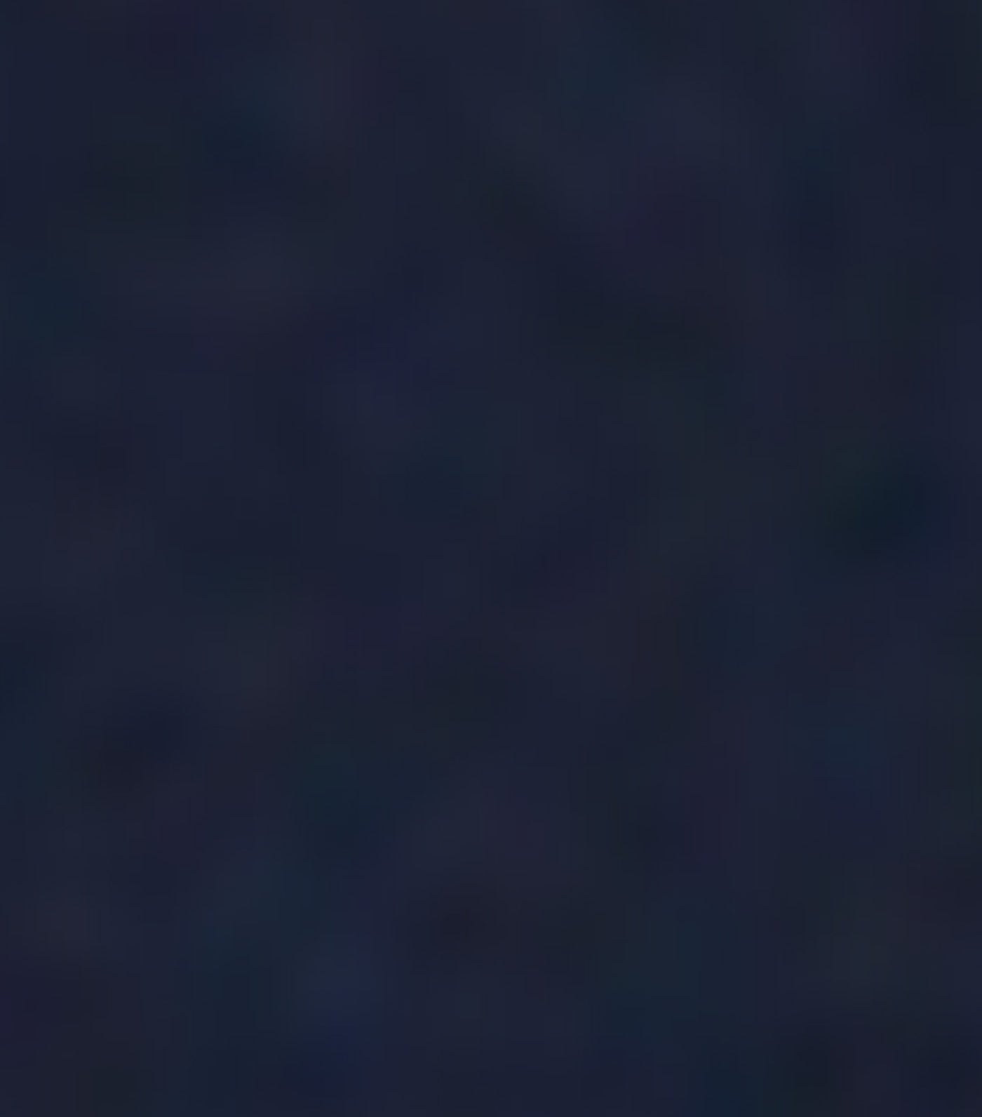 Lacoste Embroidered Signature T-Shirt Navy Blue