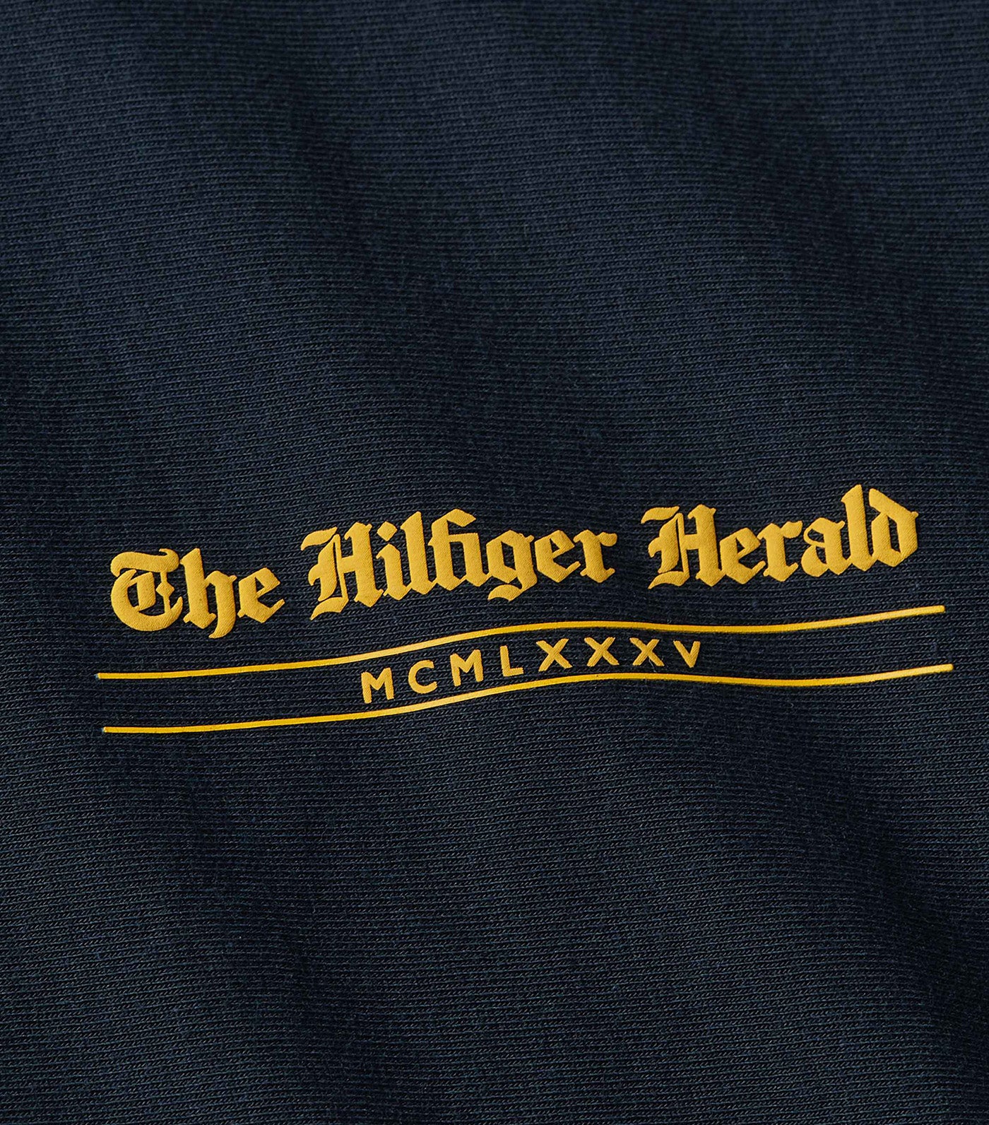 Men's Hilfiger Herald Back Graphic Tee Desert Sky